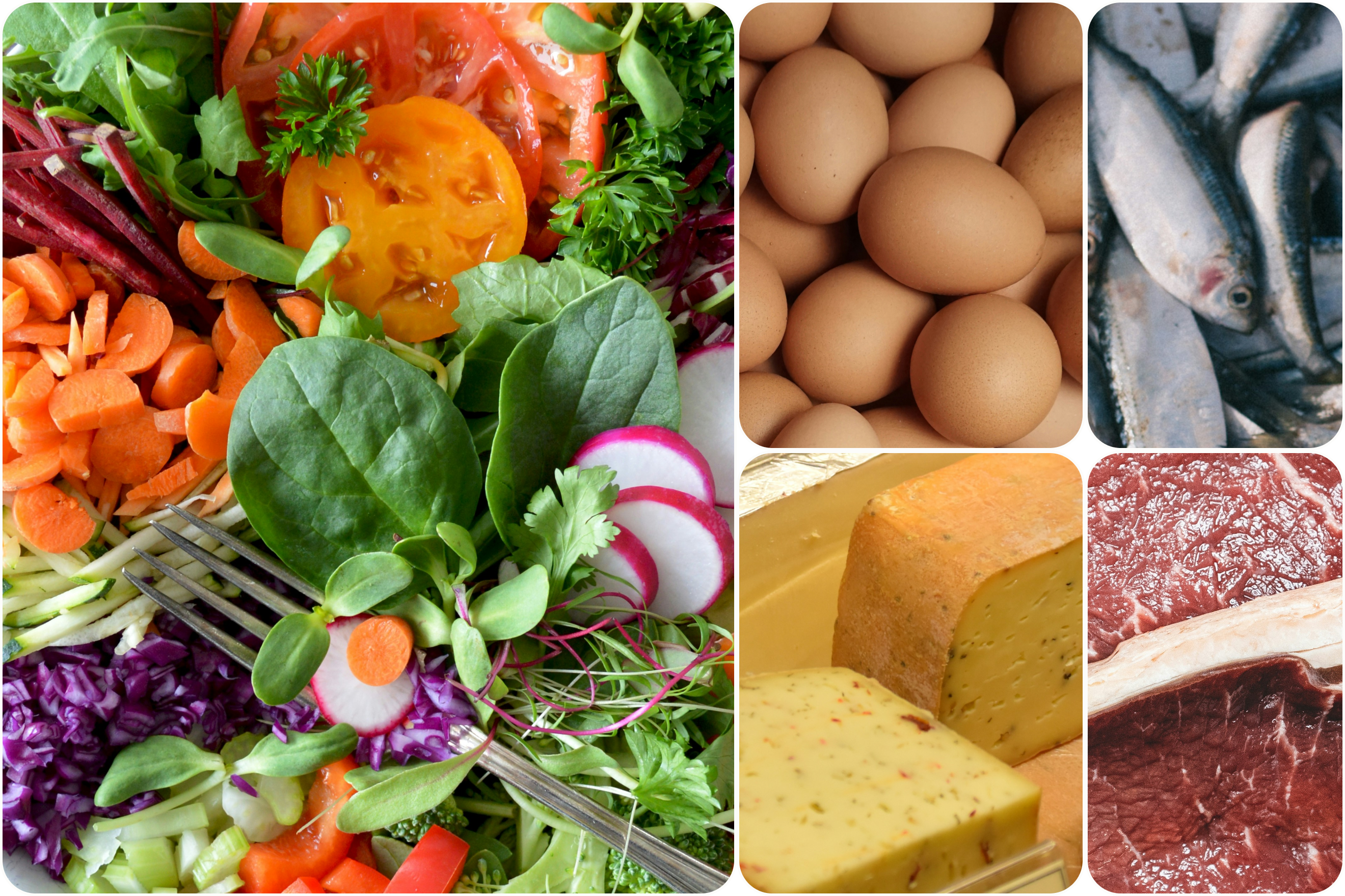 Mediterranean diet
