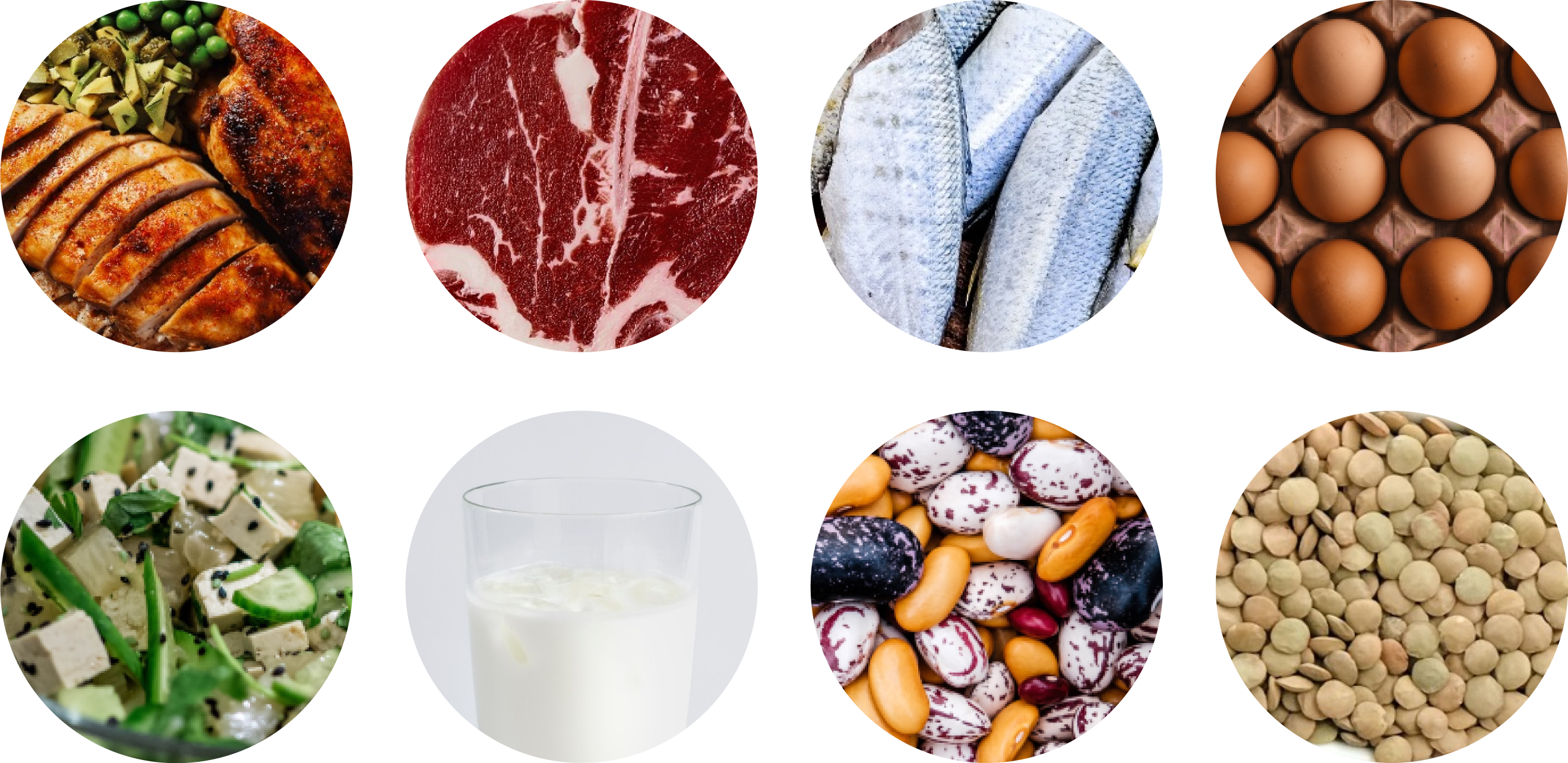 Nutrition for muscle building