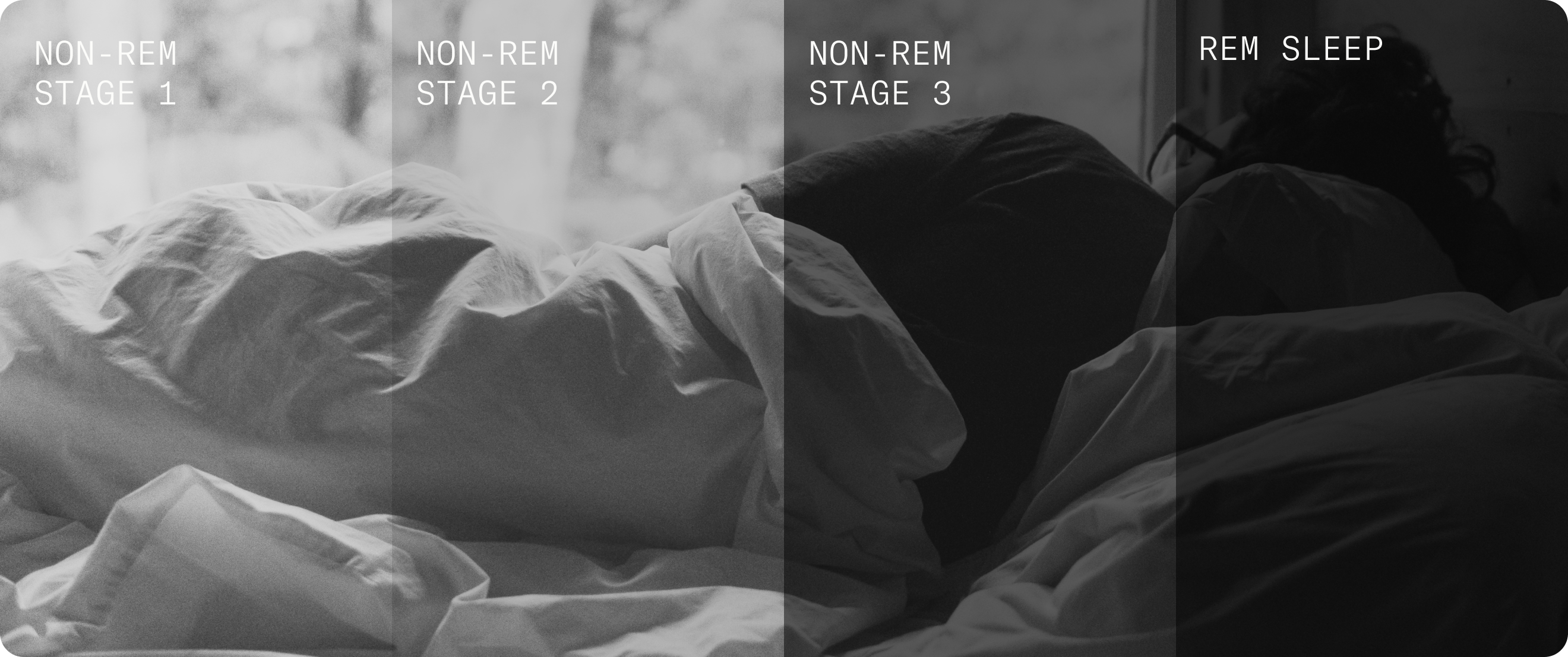 Sleep fases