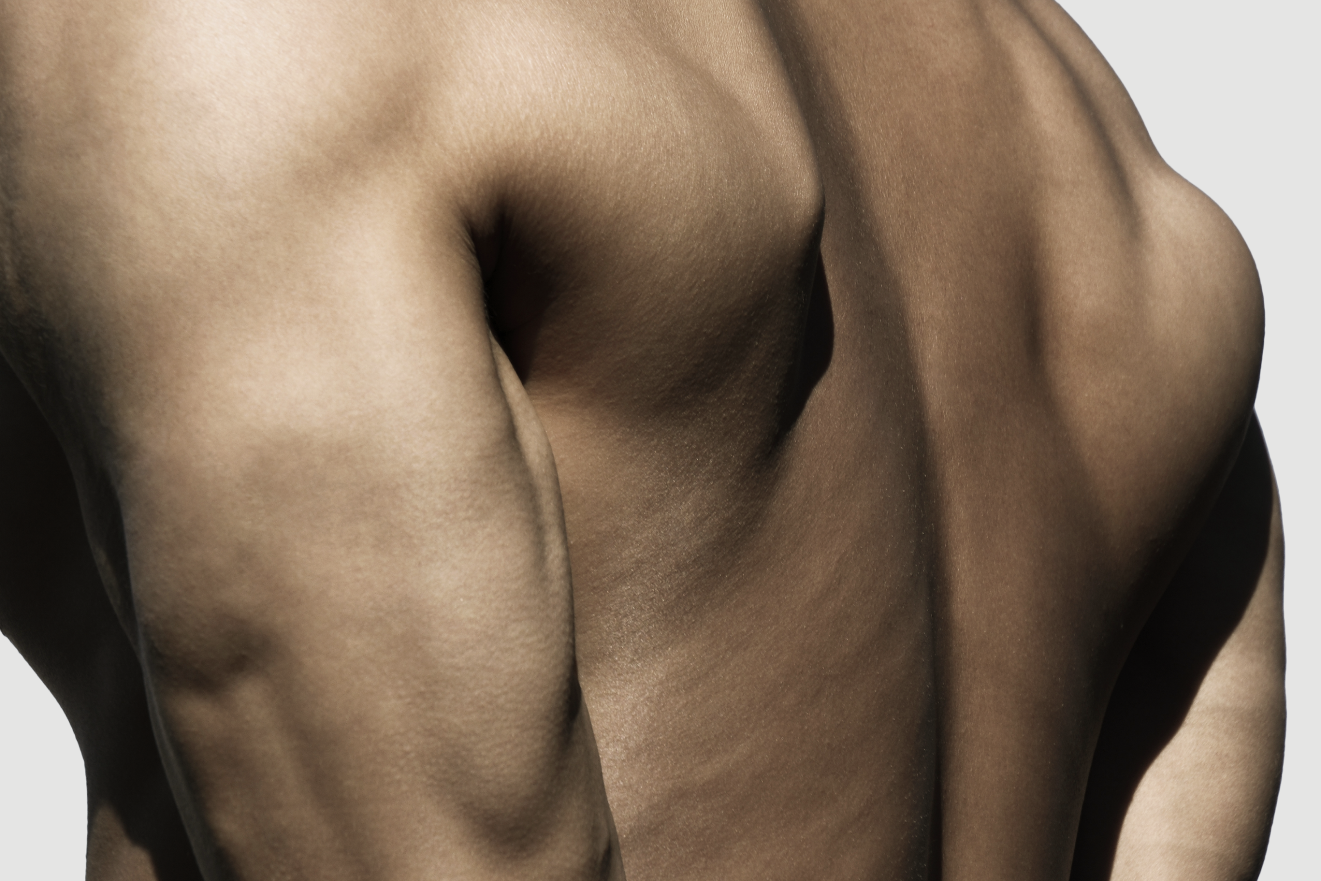 Muscle