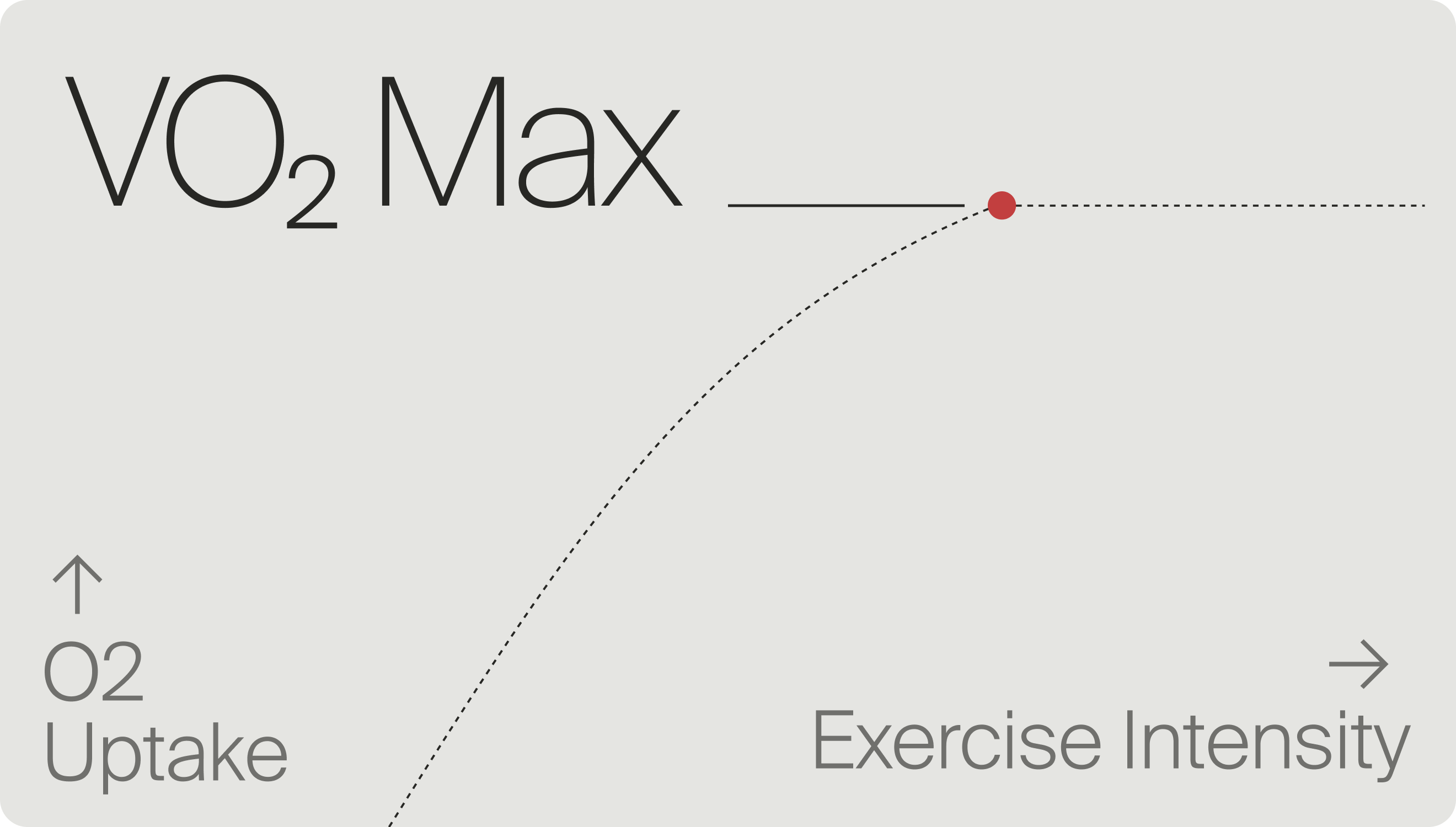VO2 Max definition