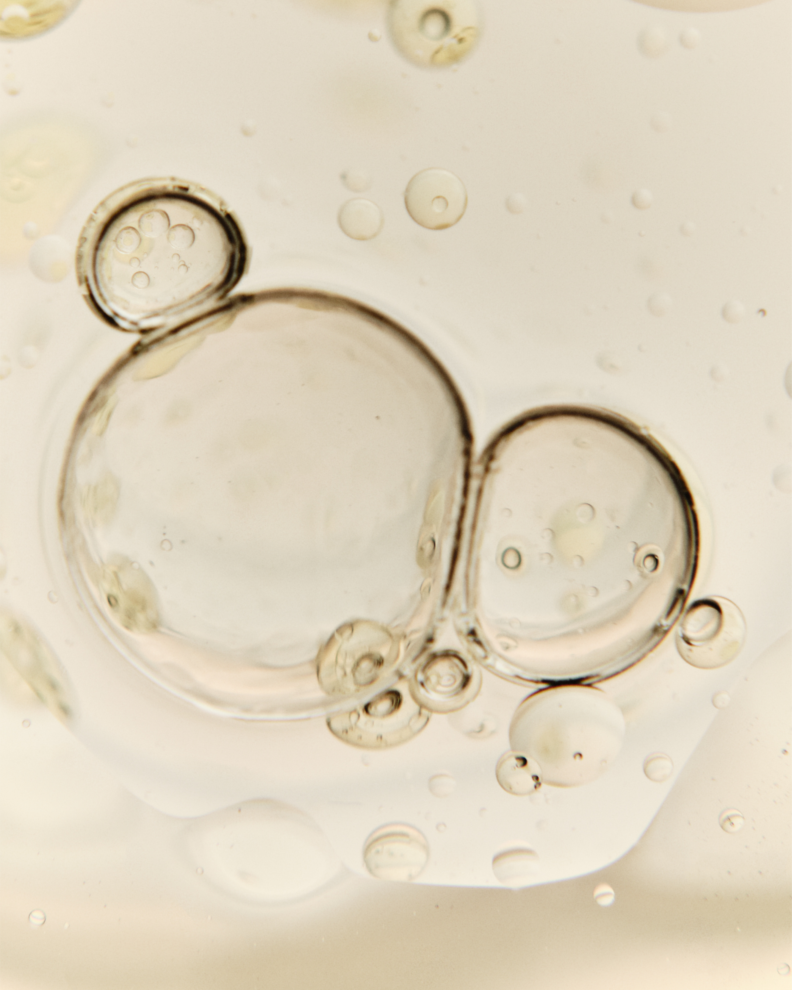 Phytic Acid ingredient