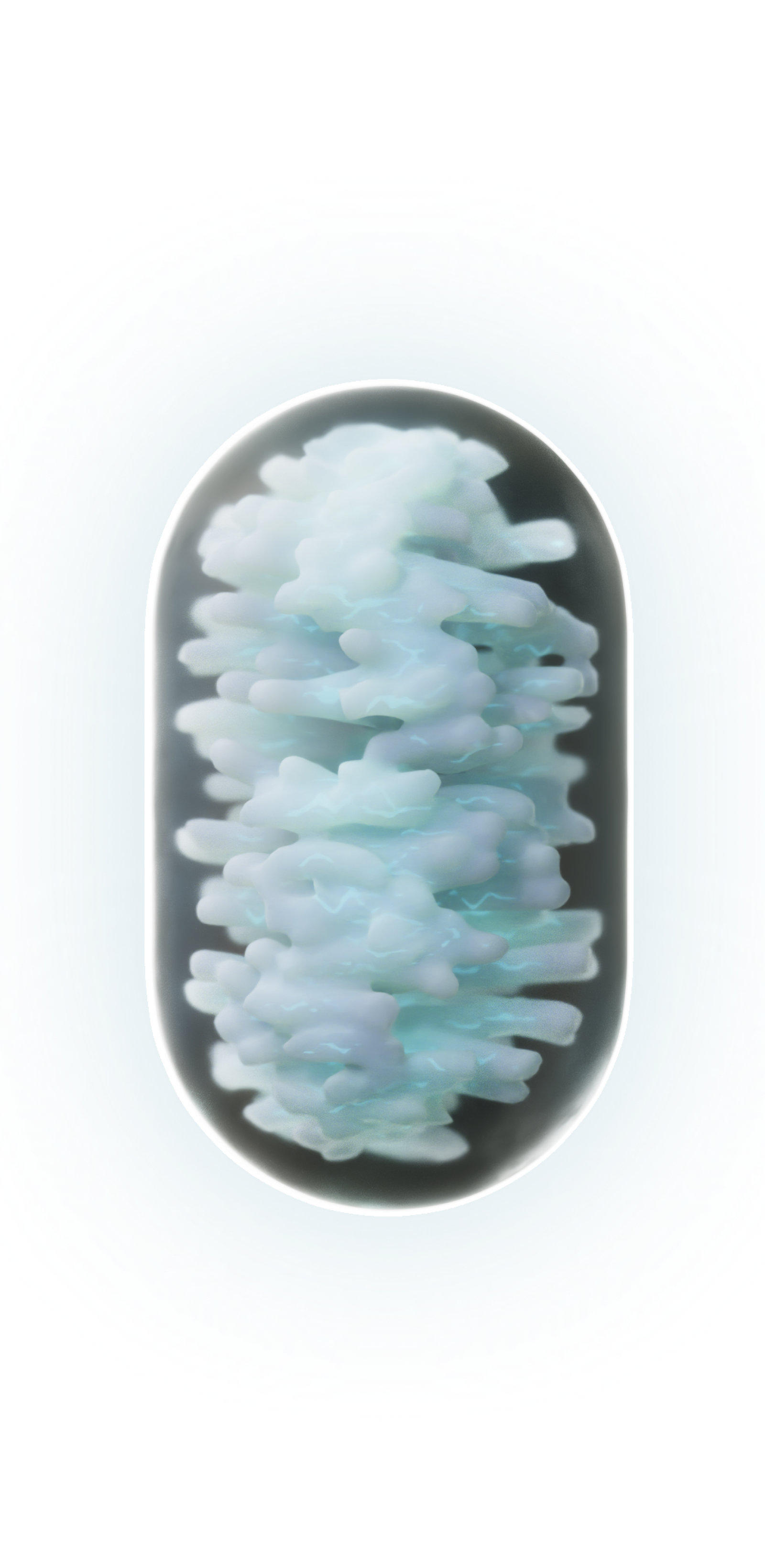 Mitochondria