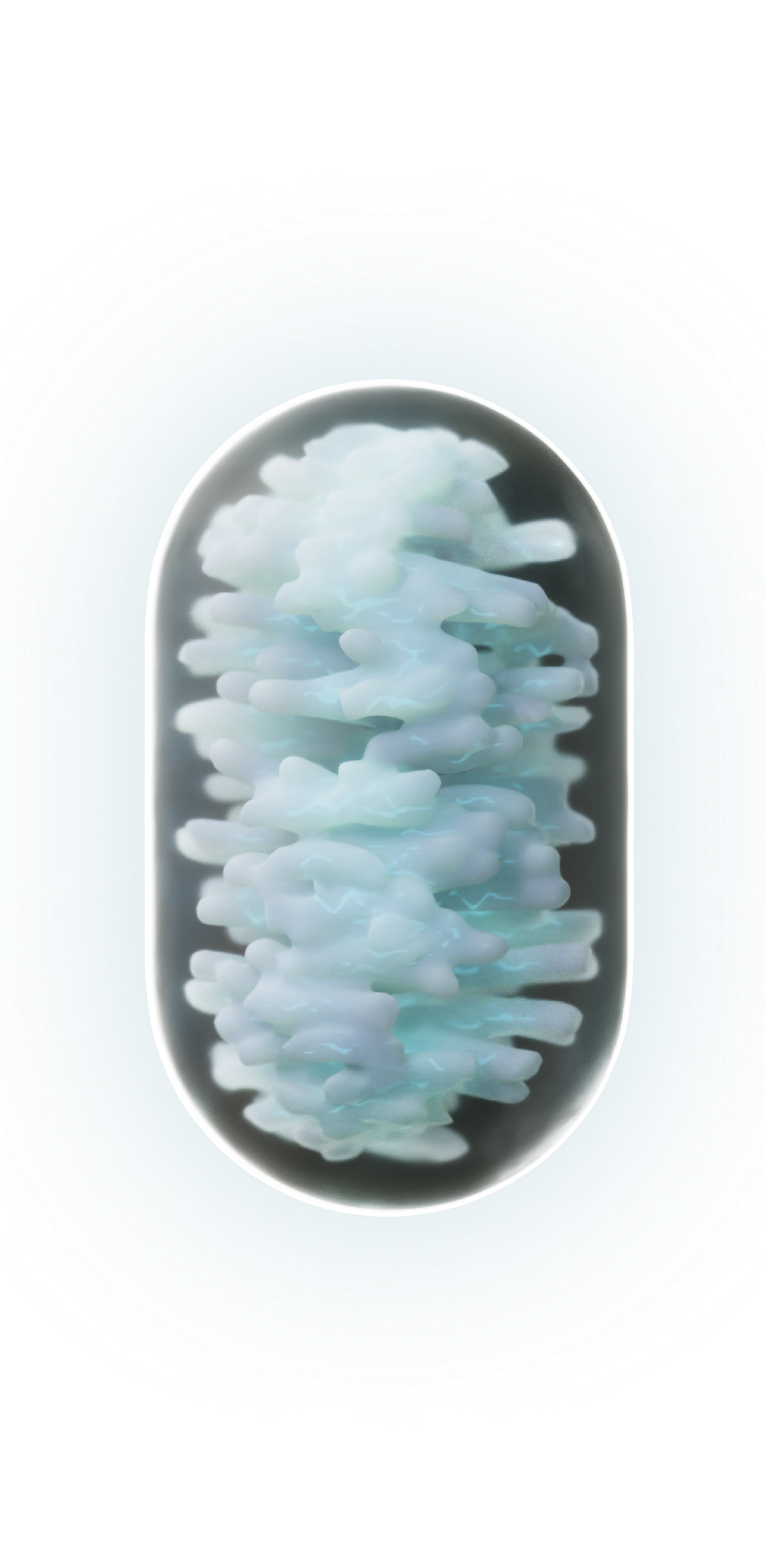 Mitochondria