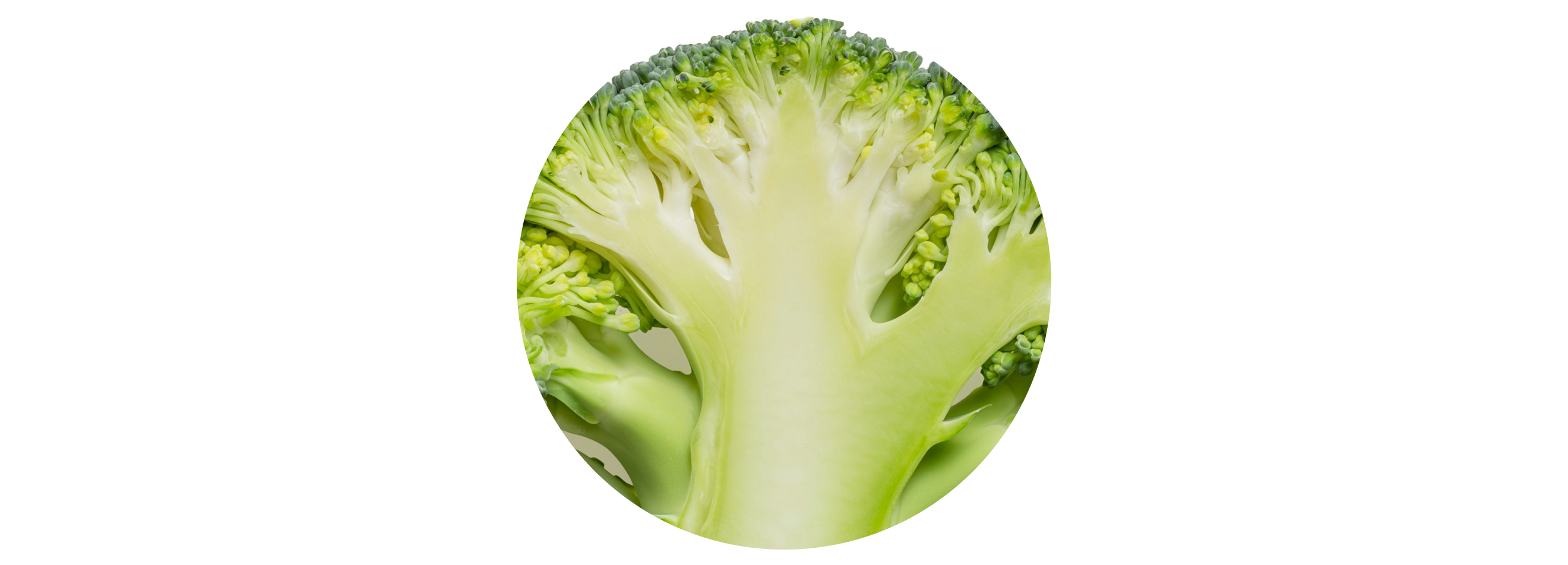 Broccoli