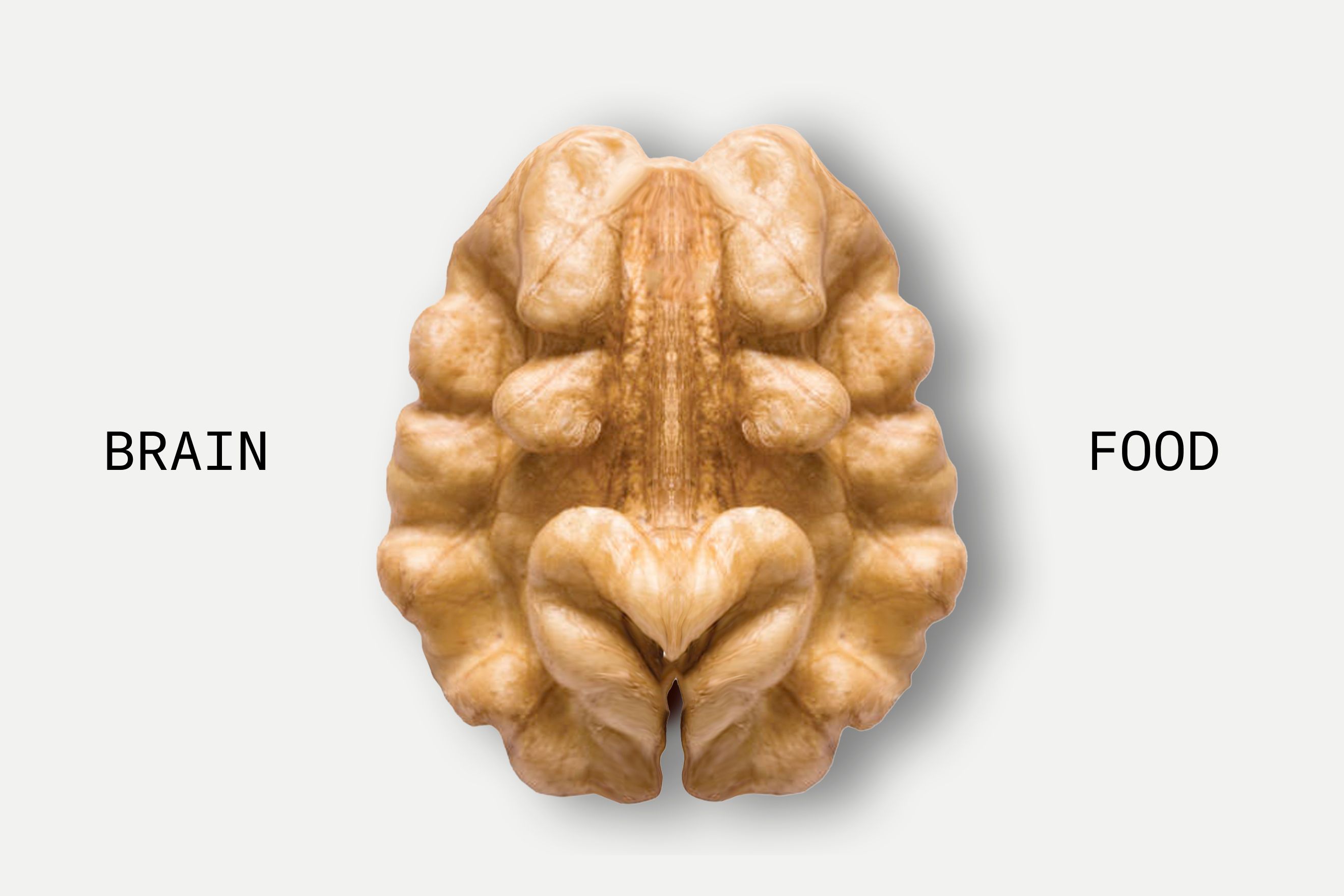 Walnut with the shape of a brain and the words Brain Food
