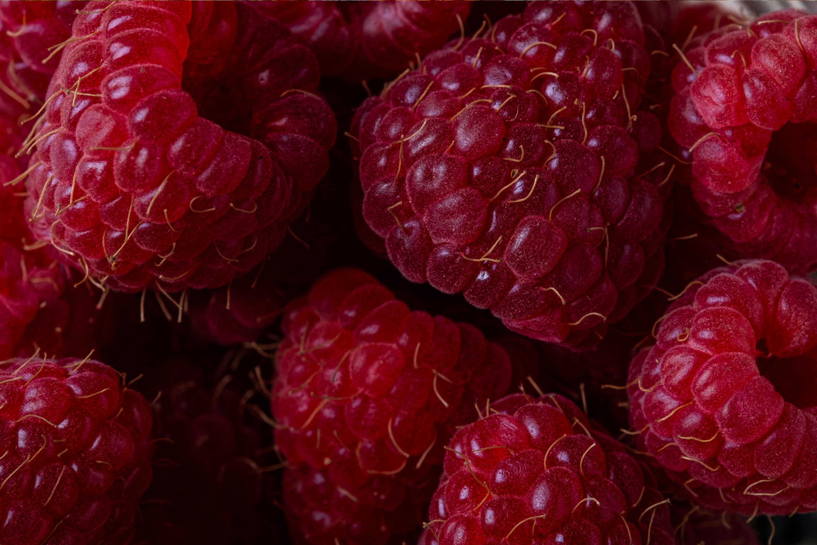 Raspberries