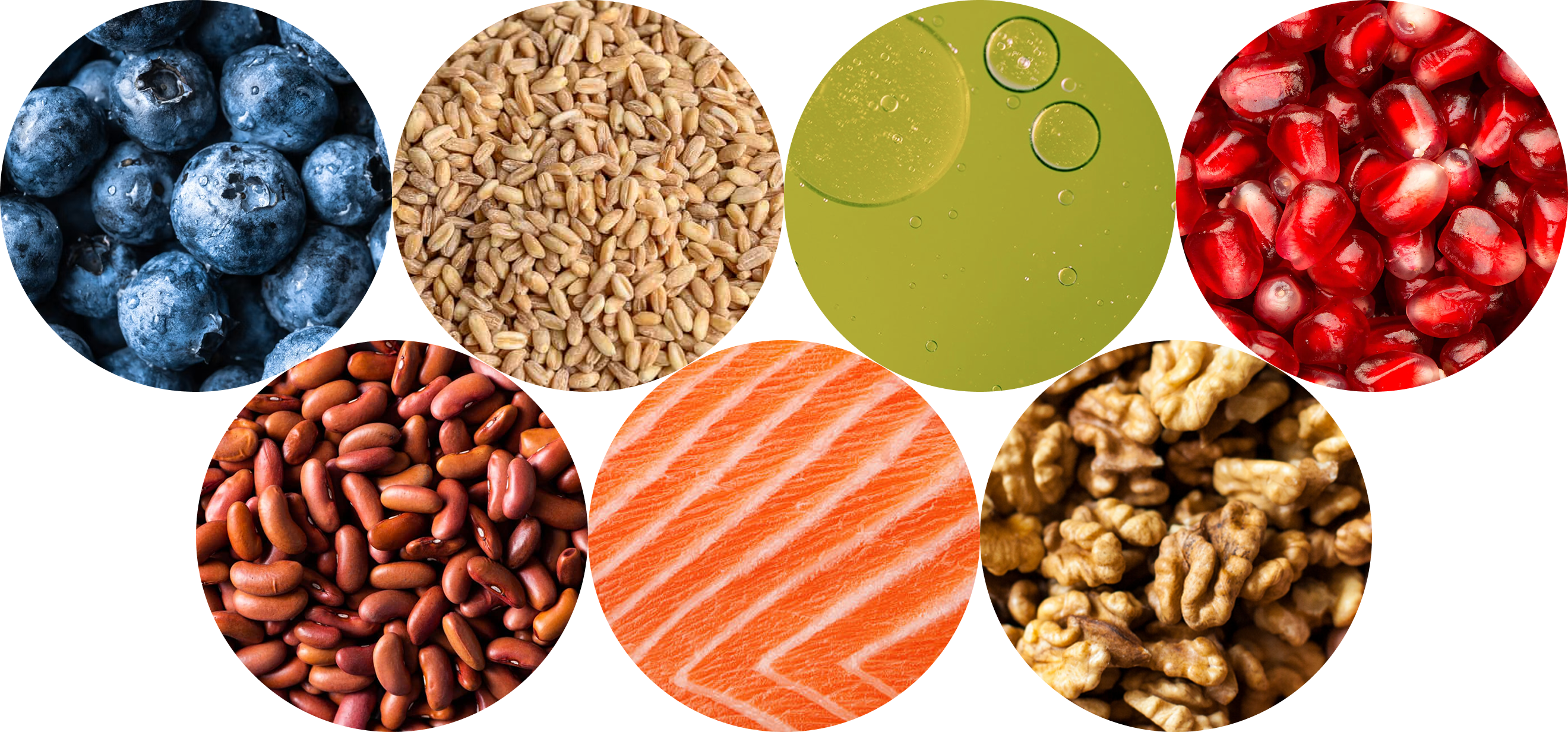 longevity friendly ingredients