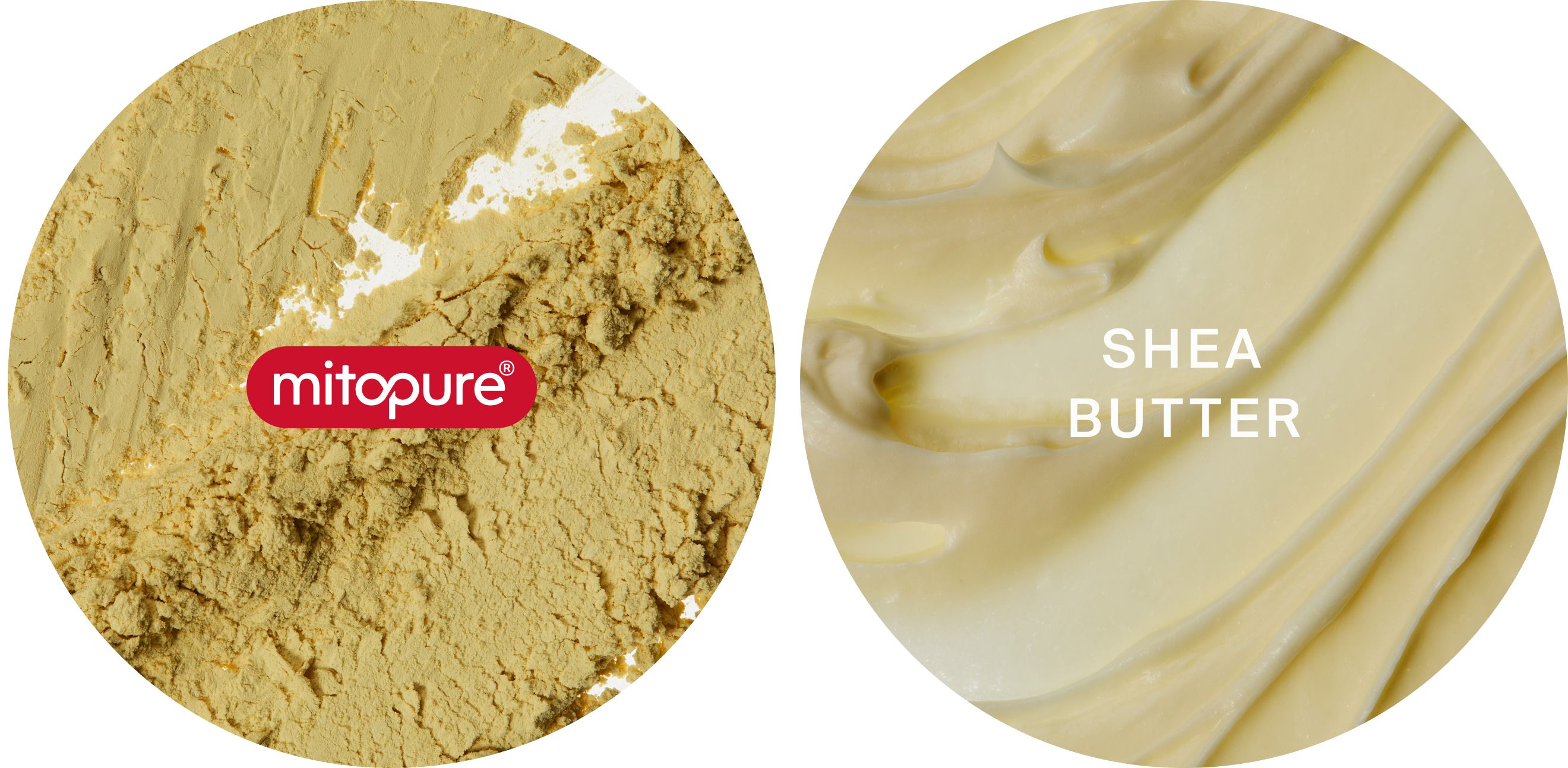 Mitopure and Shea Butter