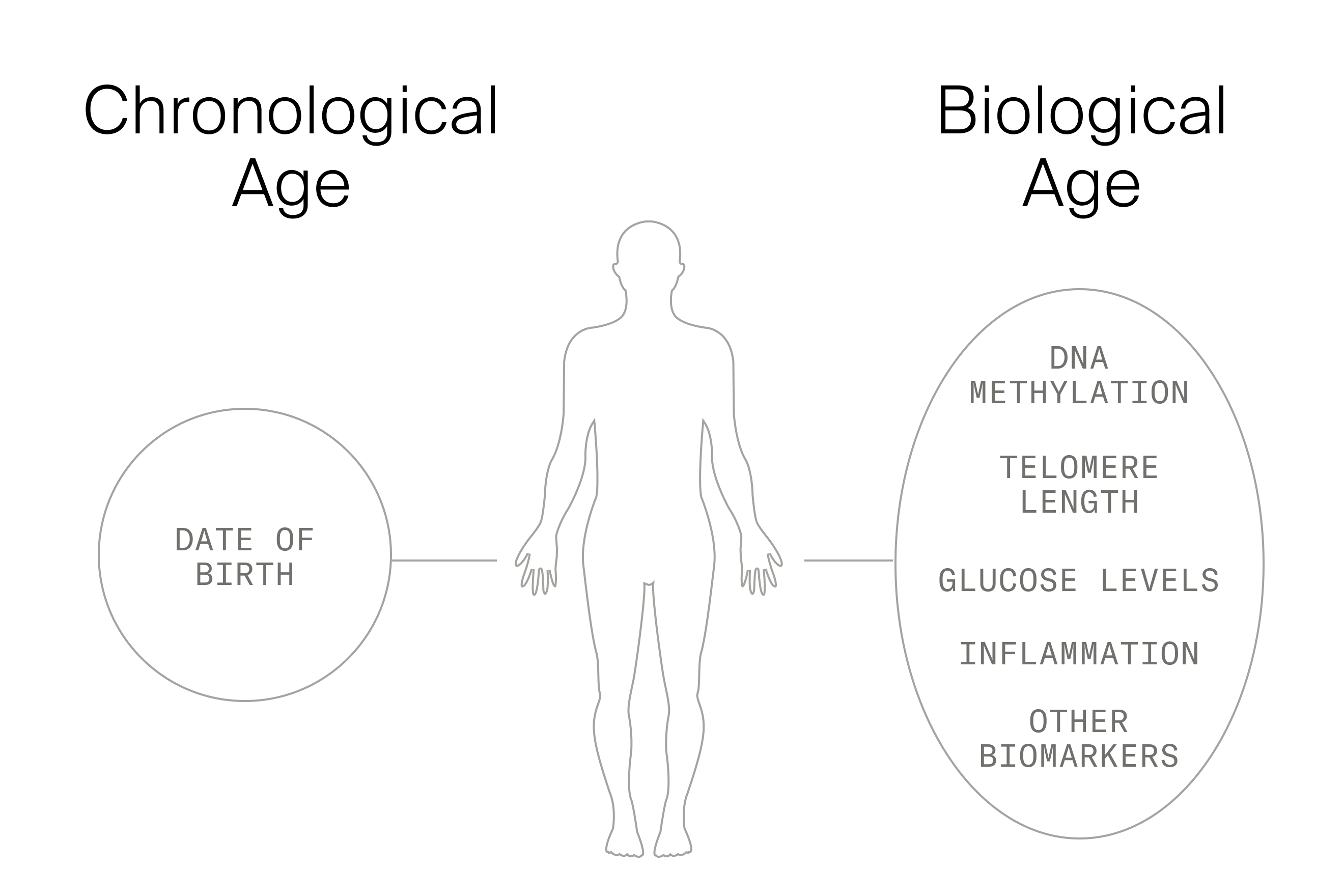 Biological Age vs Chronological Age