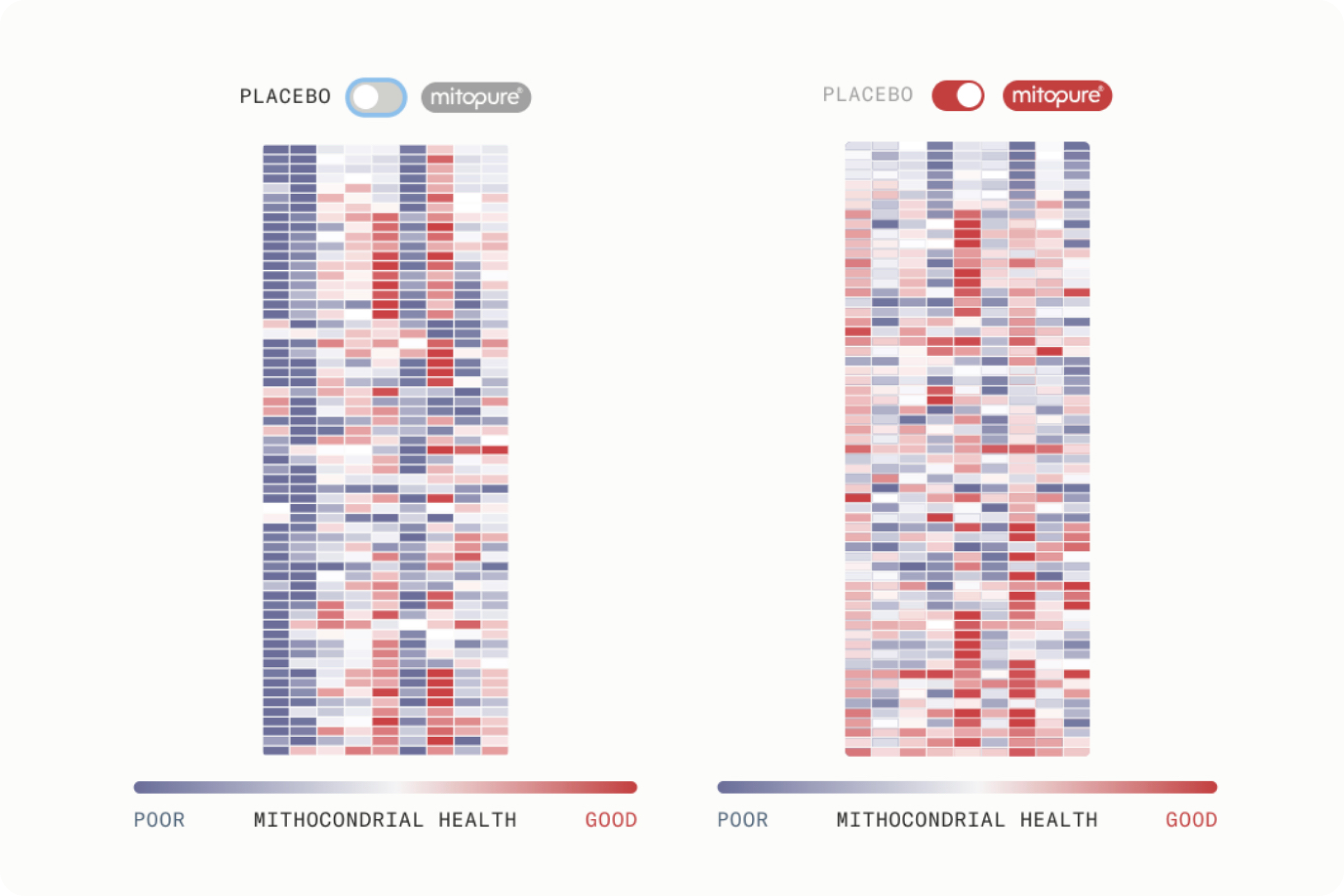 Placebo vs Mitopure