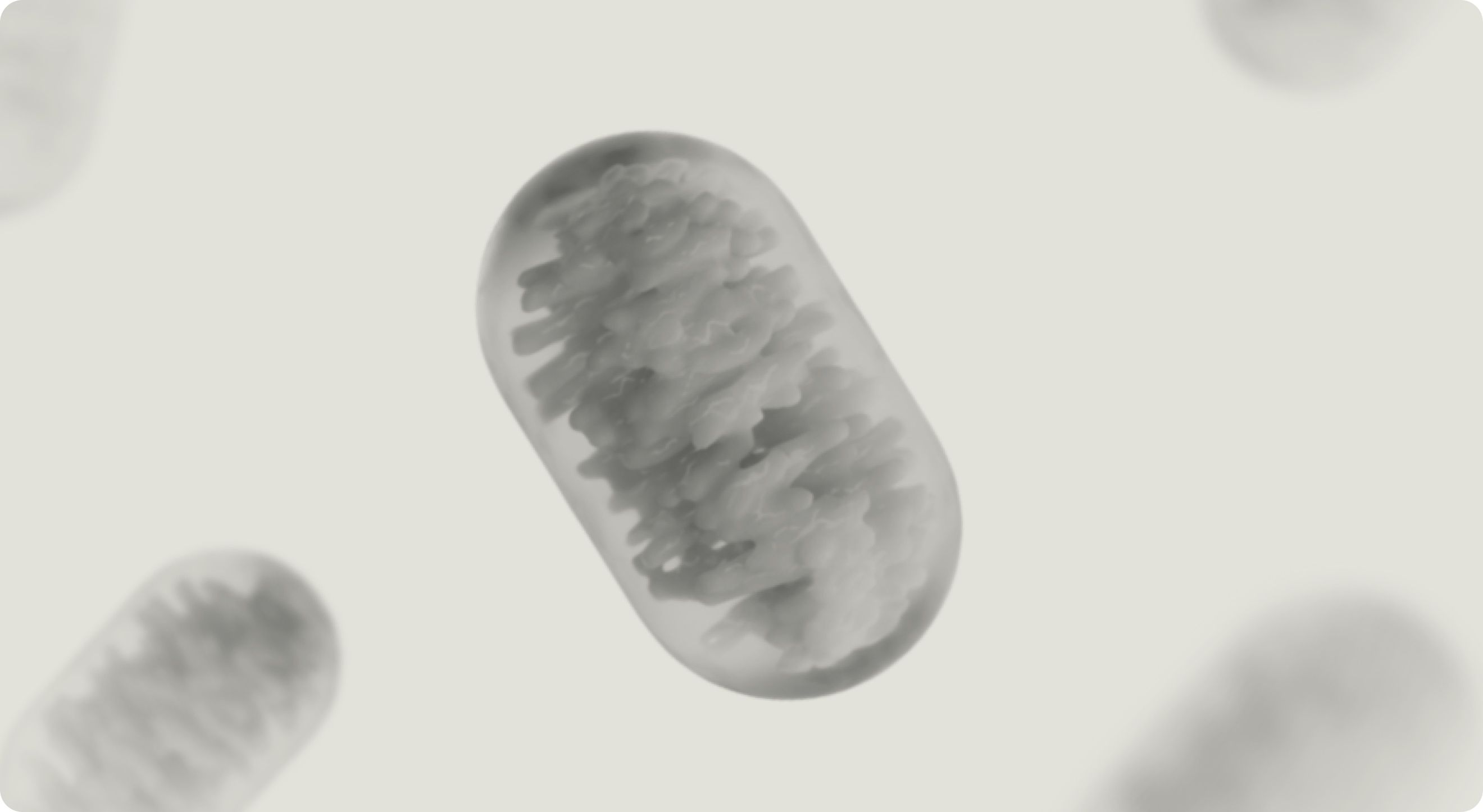 Mitochondria