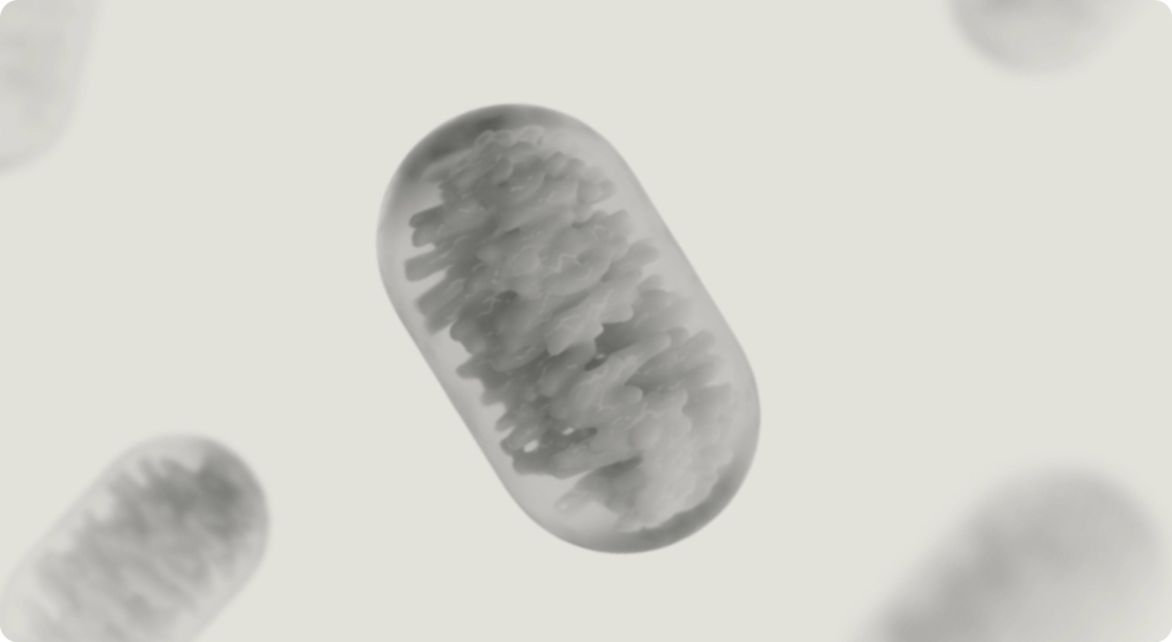 Mitochondria
