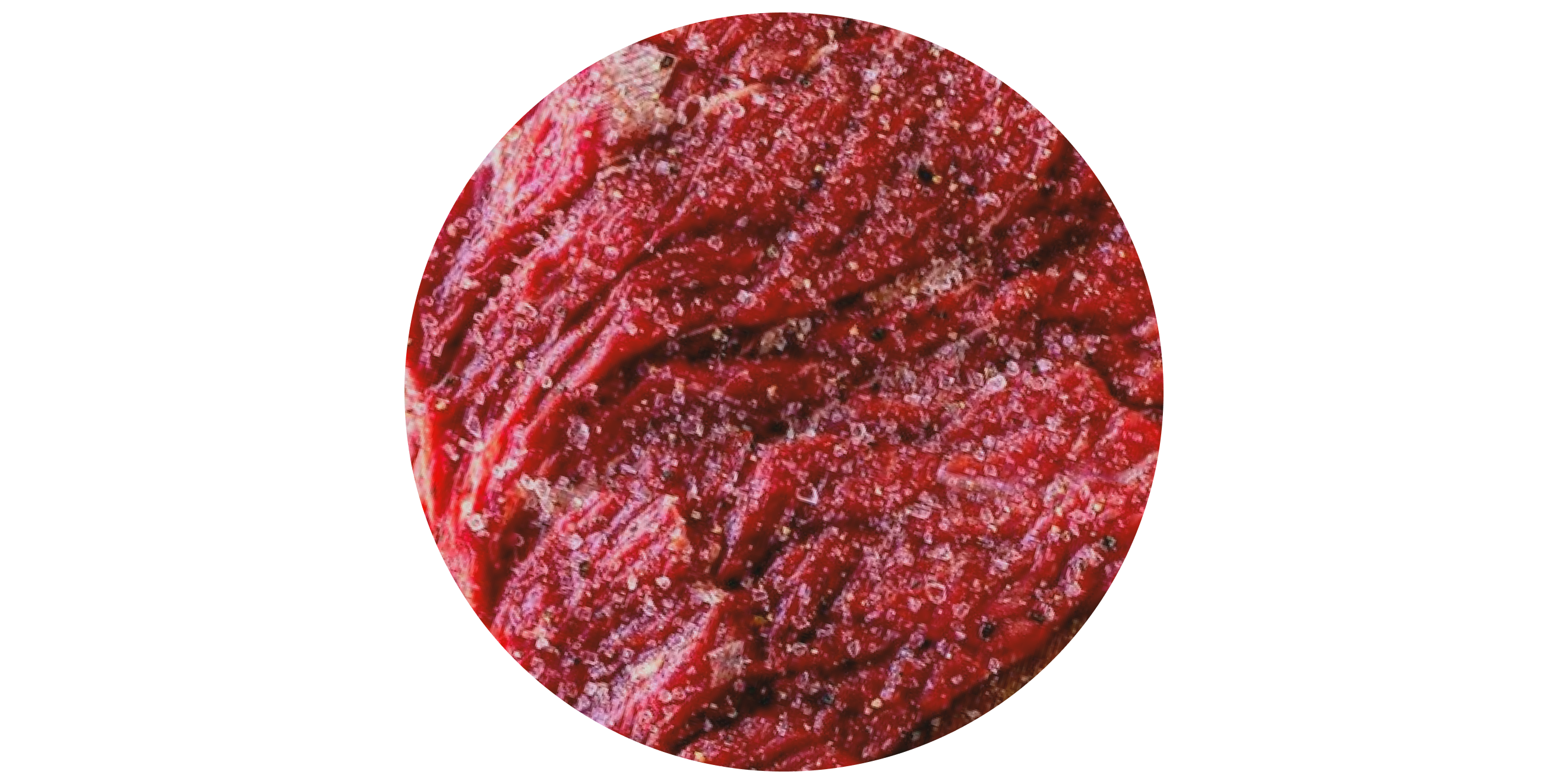 Carnivore Diet