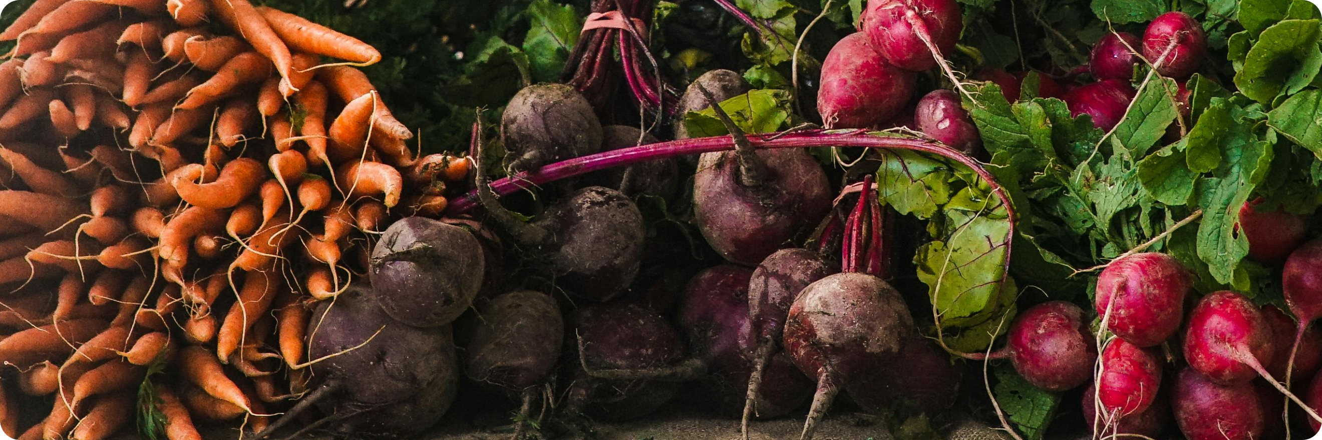 Root vegetables