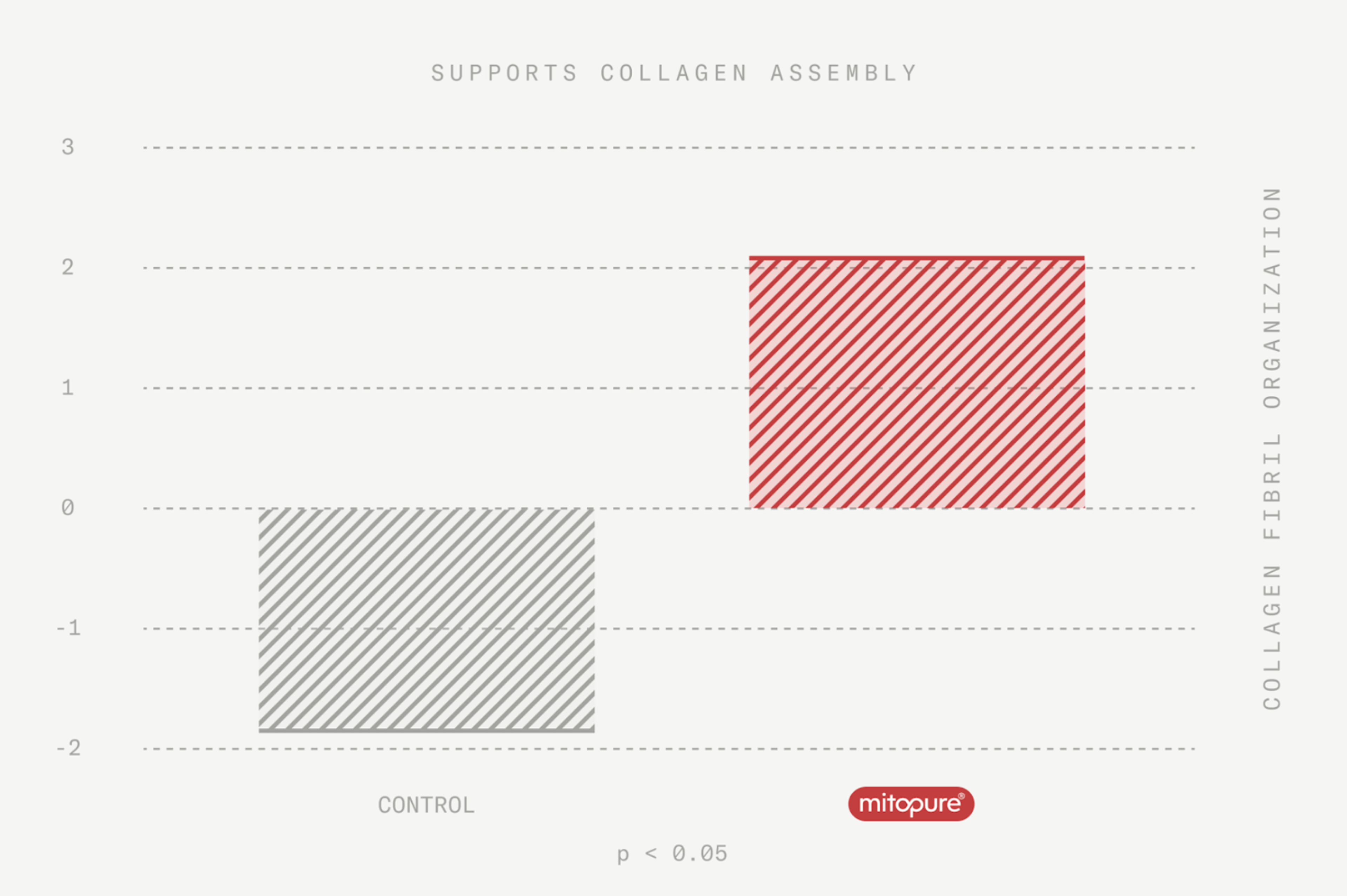 support collagen assembly