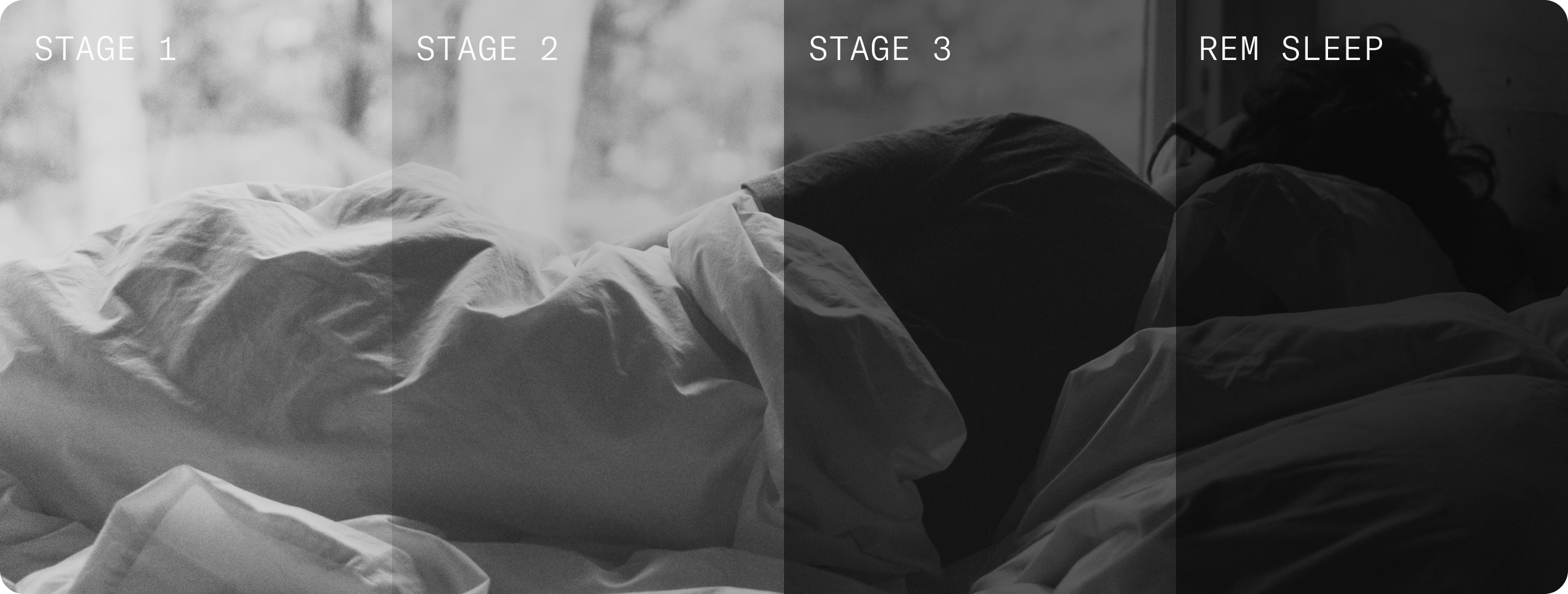 Phases os Sleep