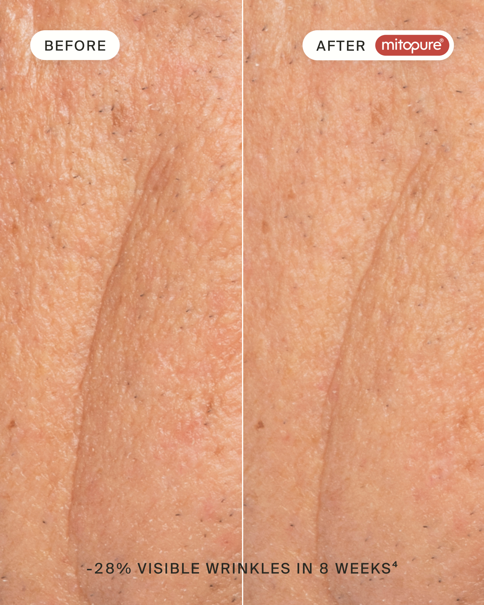 Mitopure Dewy Cream