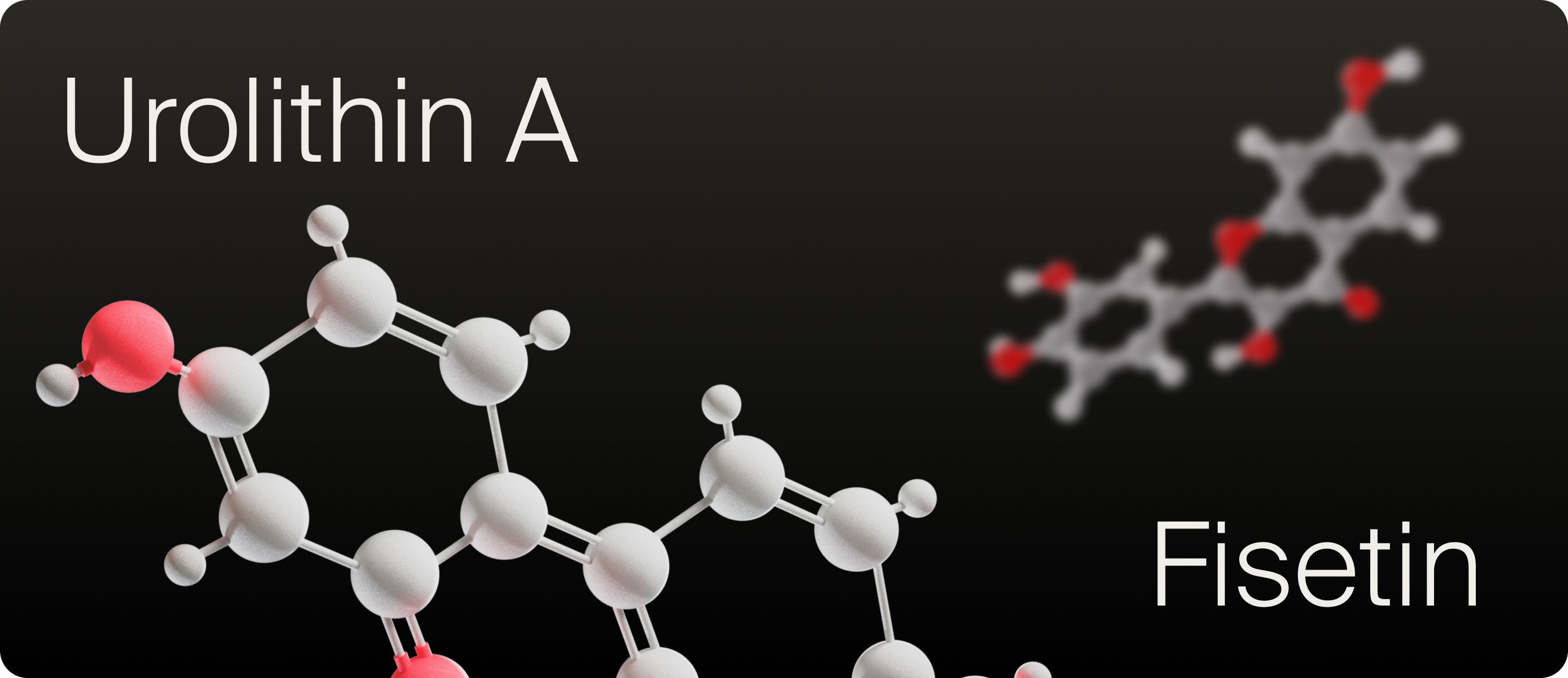 UA vs Fisetin