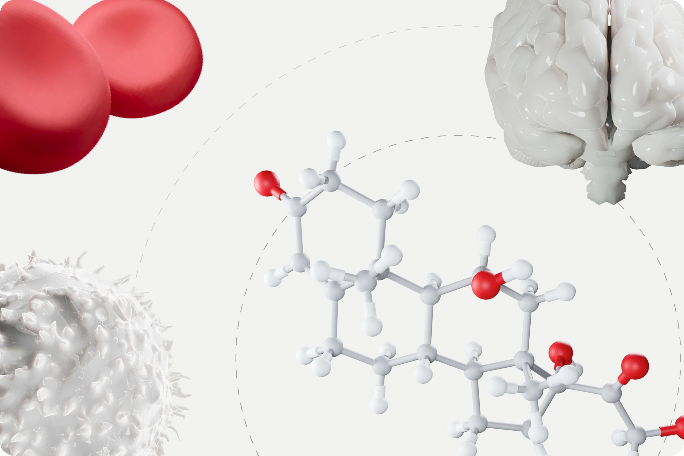 Cortisol Hormone