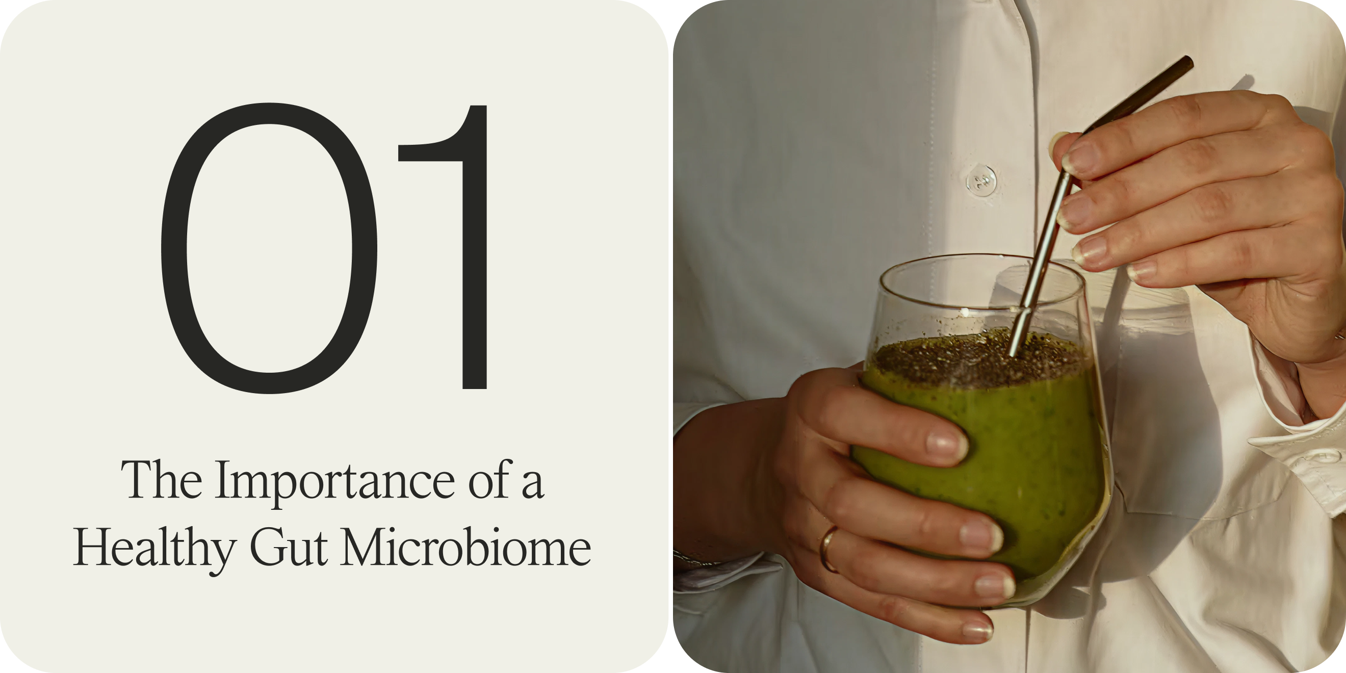 the importance of a healthy gut microbiome