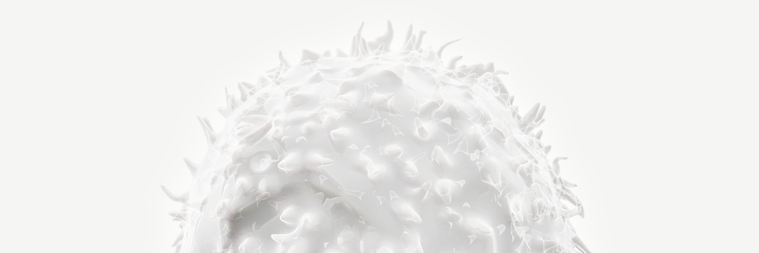 White blood cell