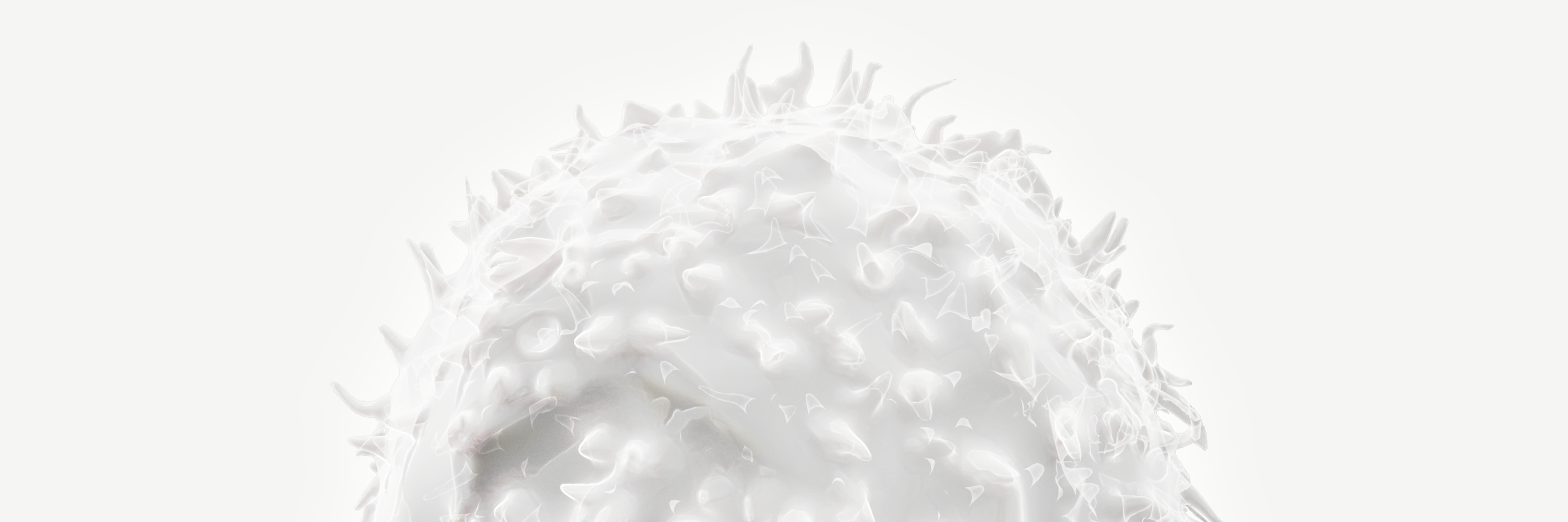 White blood cell