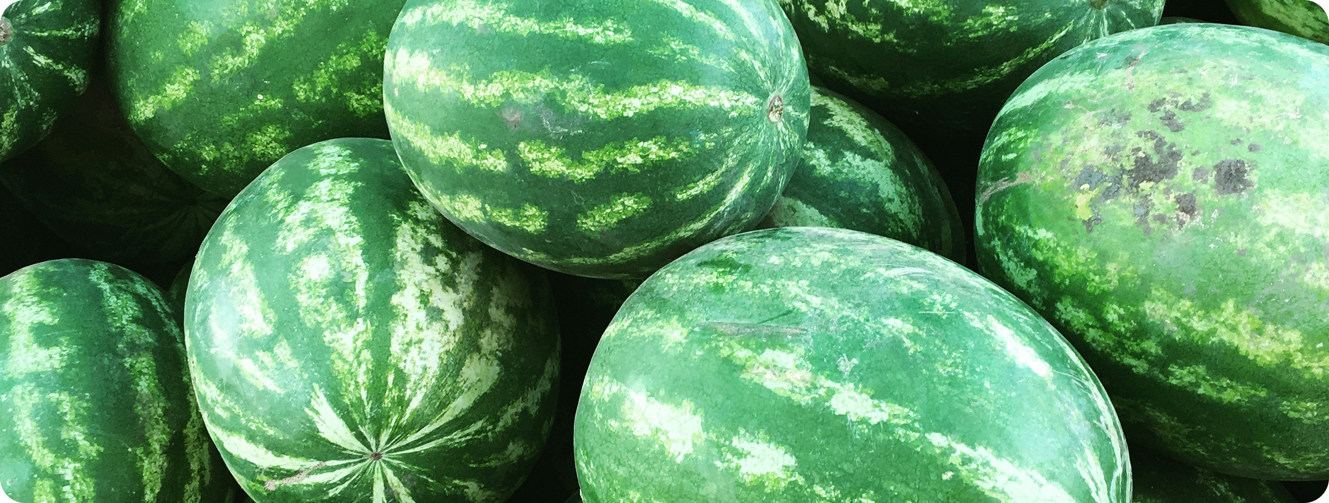 Watermelon
