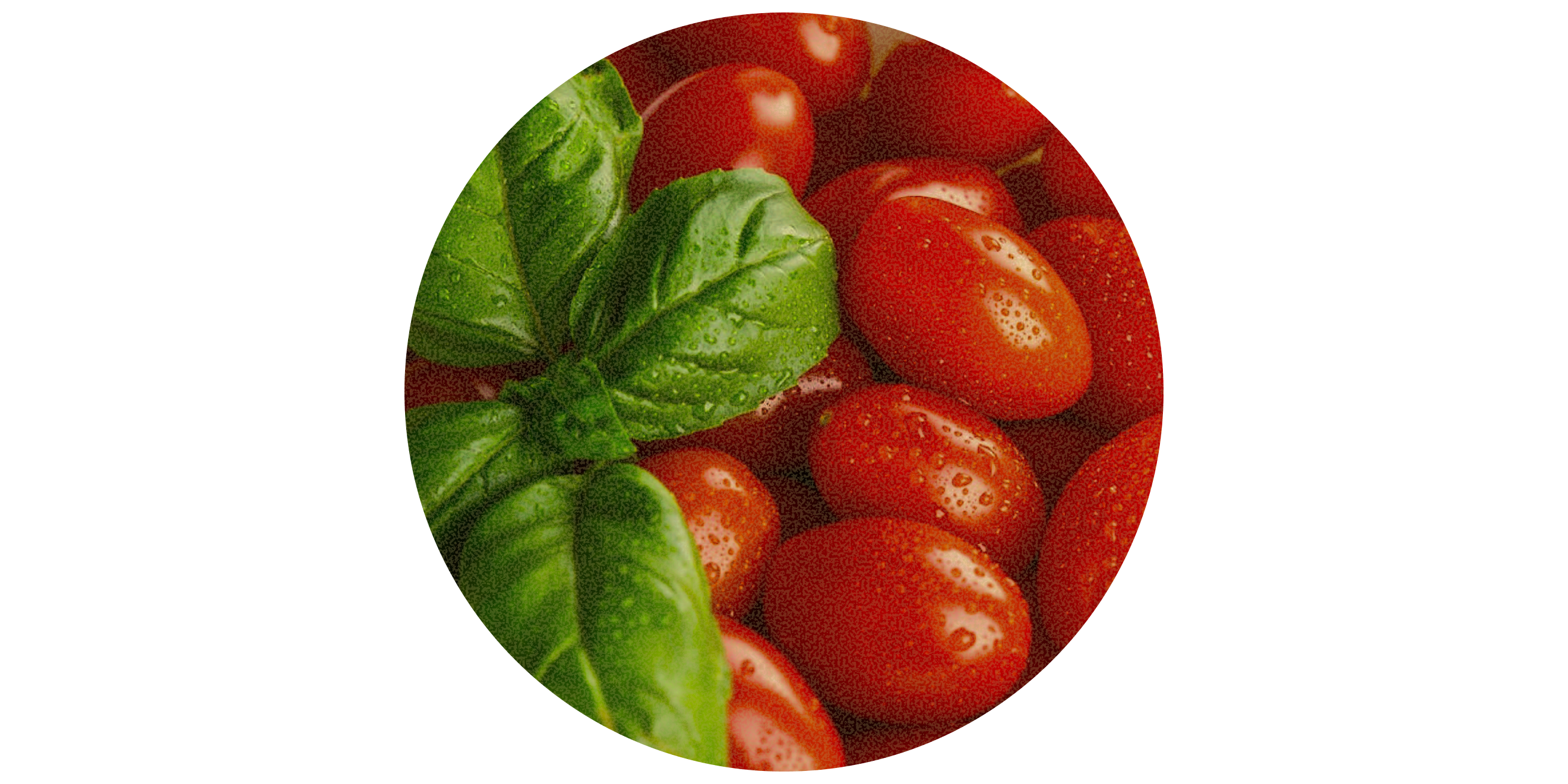 Mediterranean Diet
