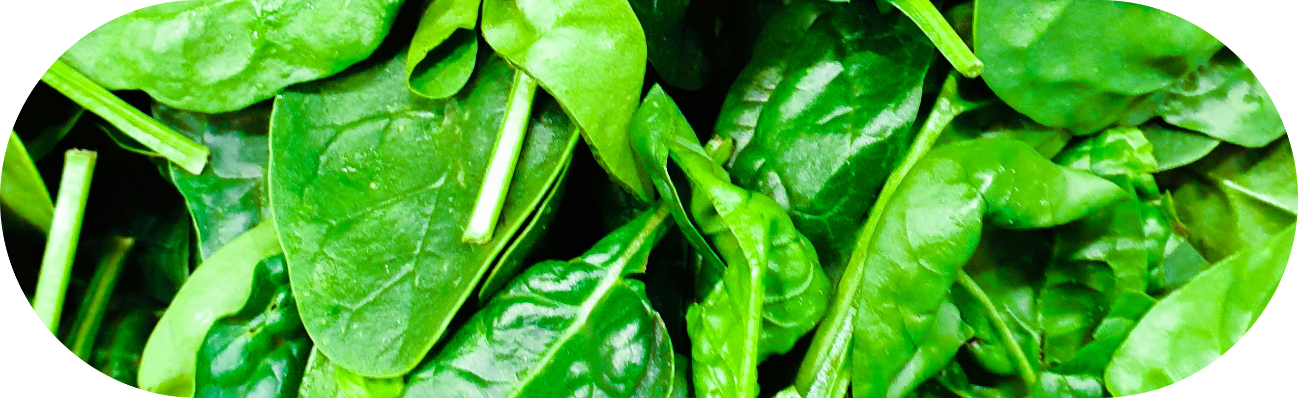 Spinach