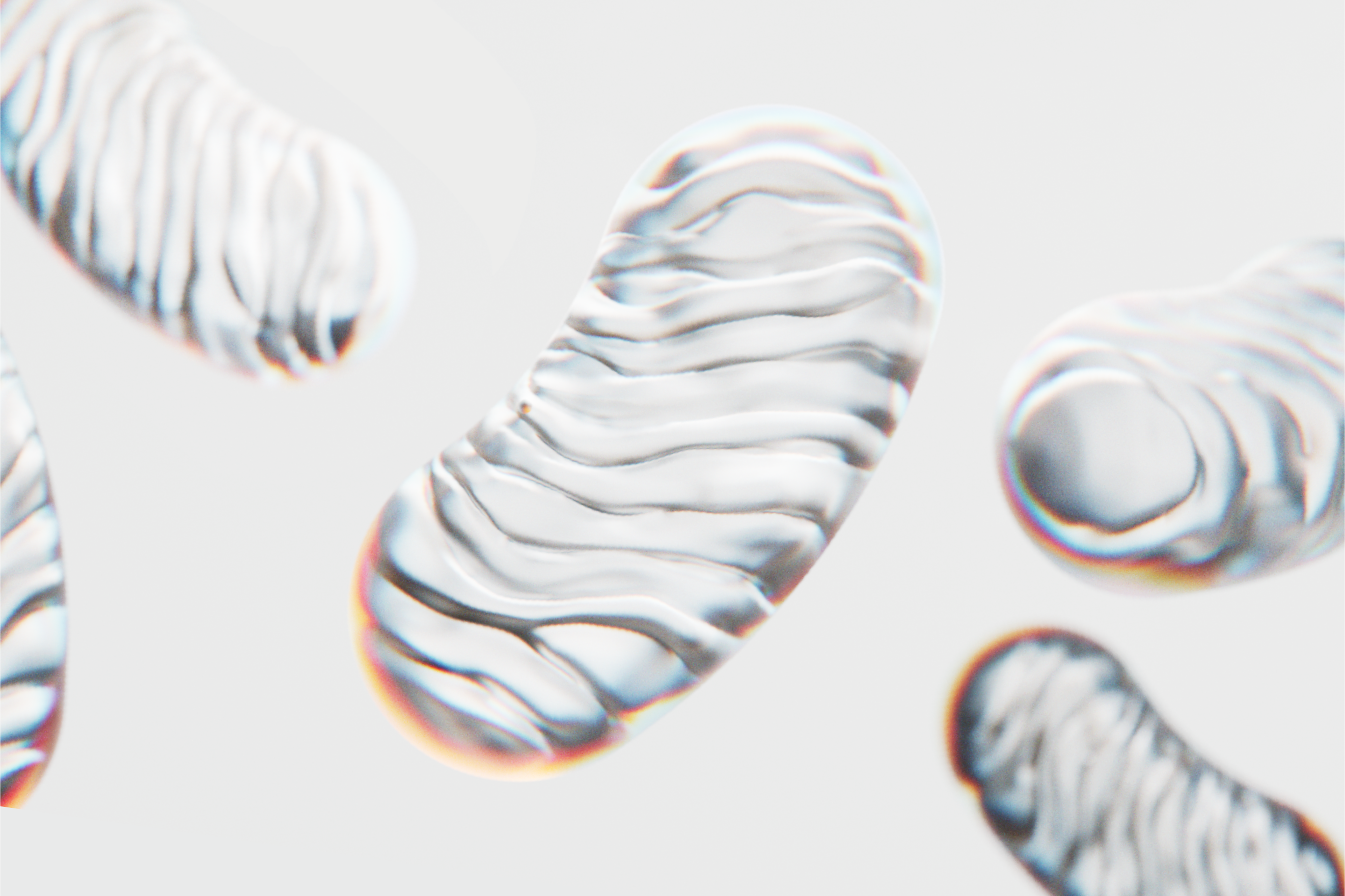 mitochondria