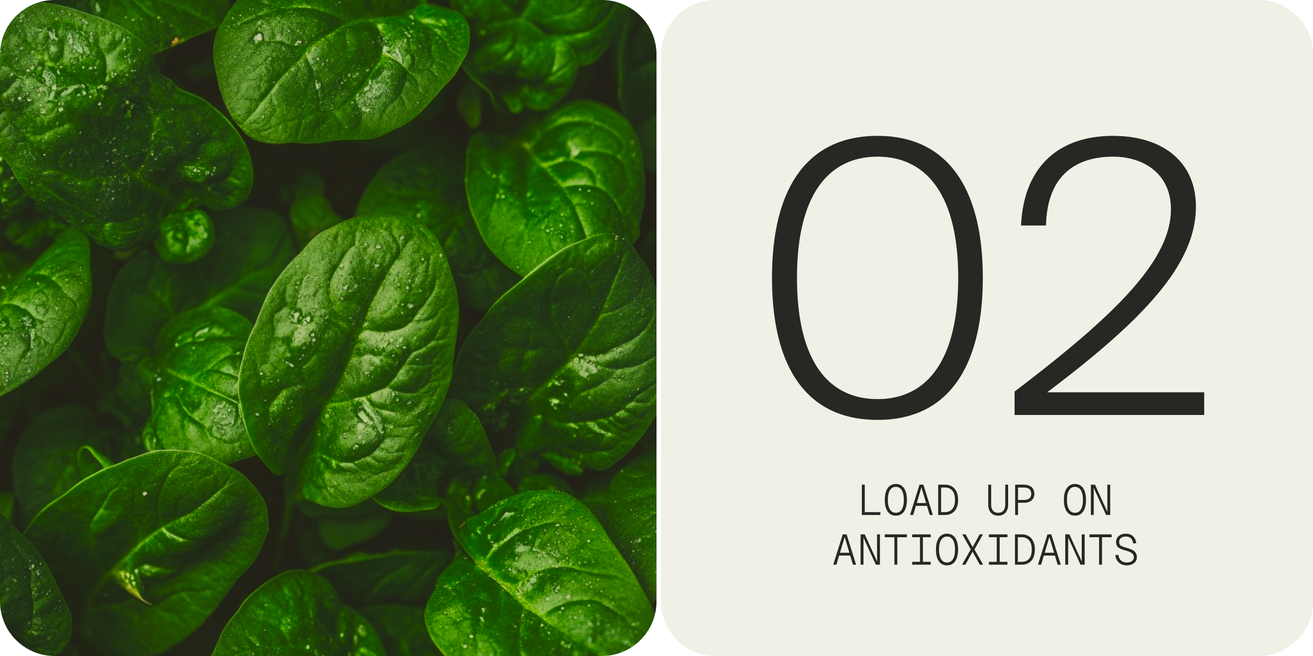 load up on antioxidants