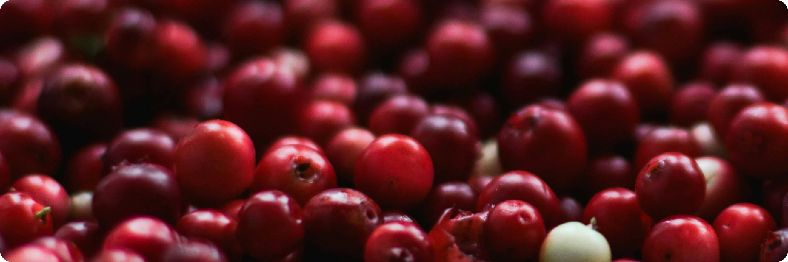 Cranberries