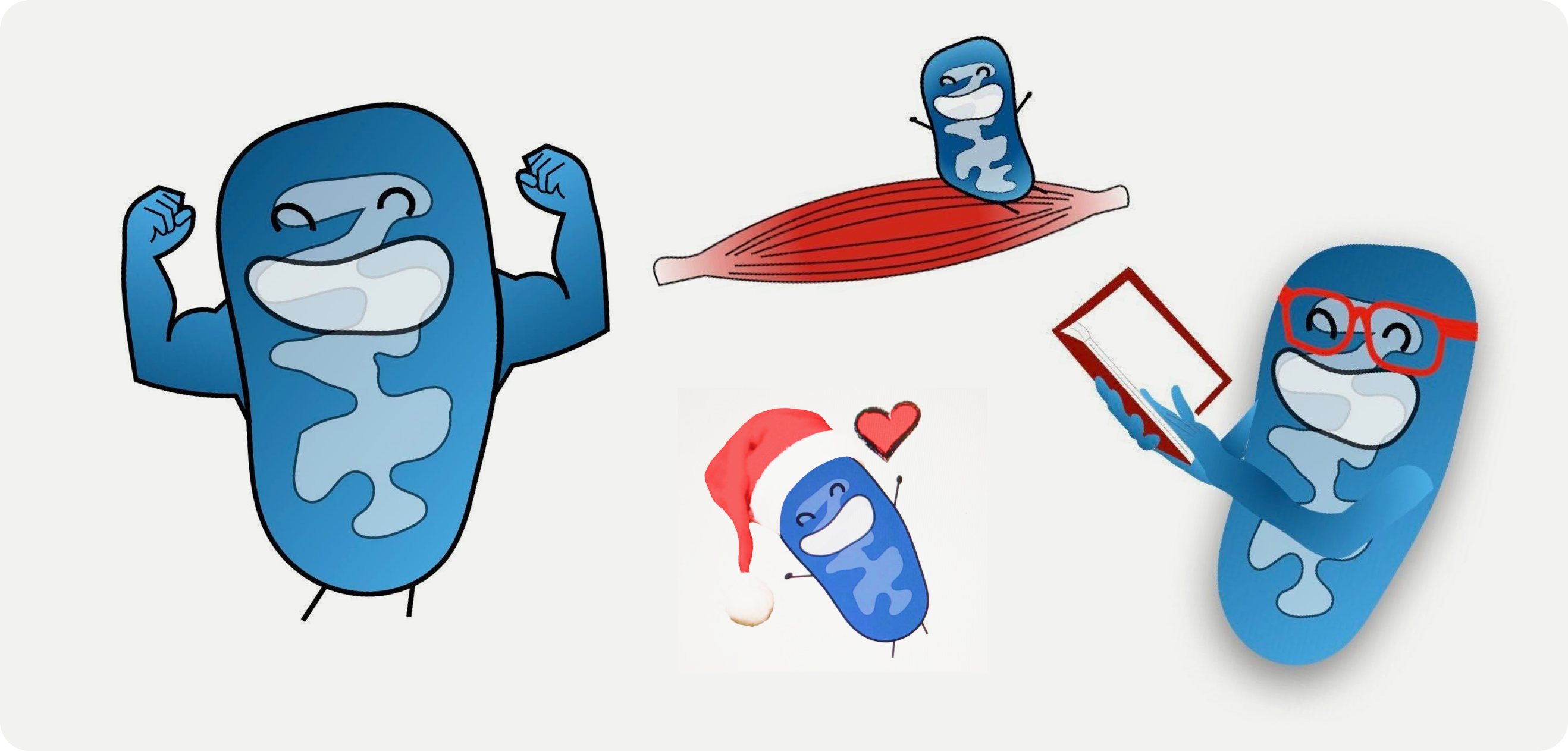 Mitochondria Drawings by Julie Faitg
