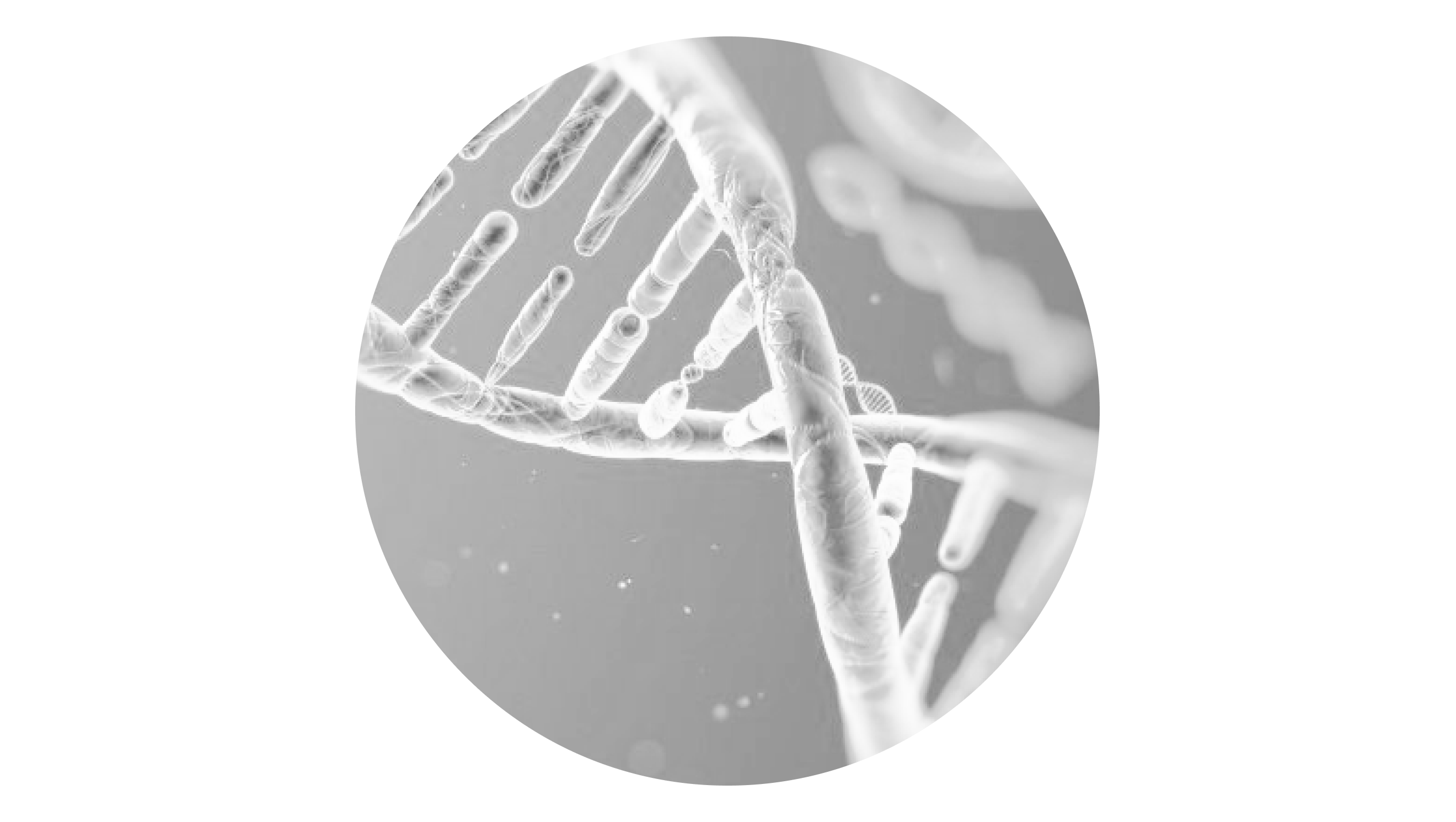 DNA 3d representation