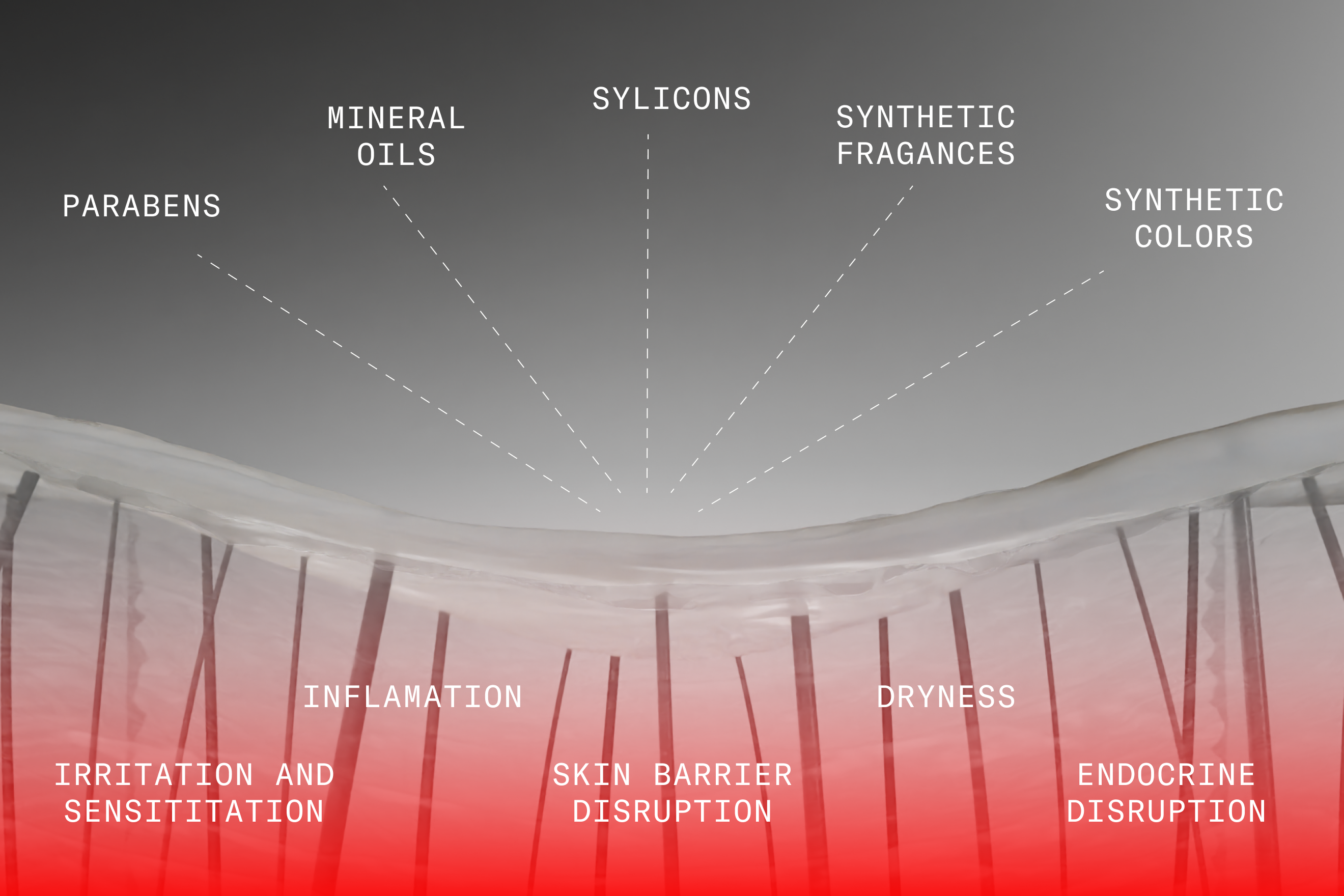 Toxic ingredients for the Skin