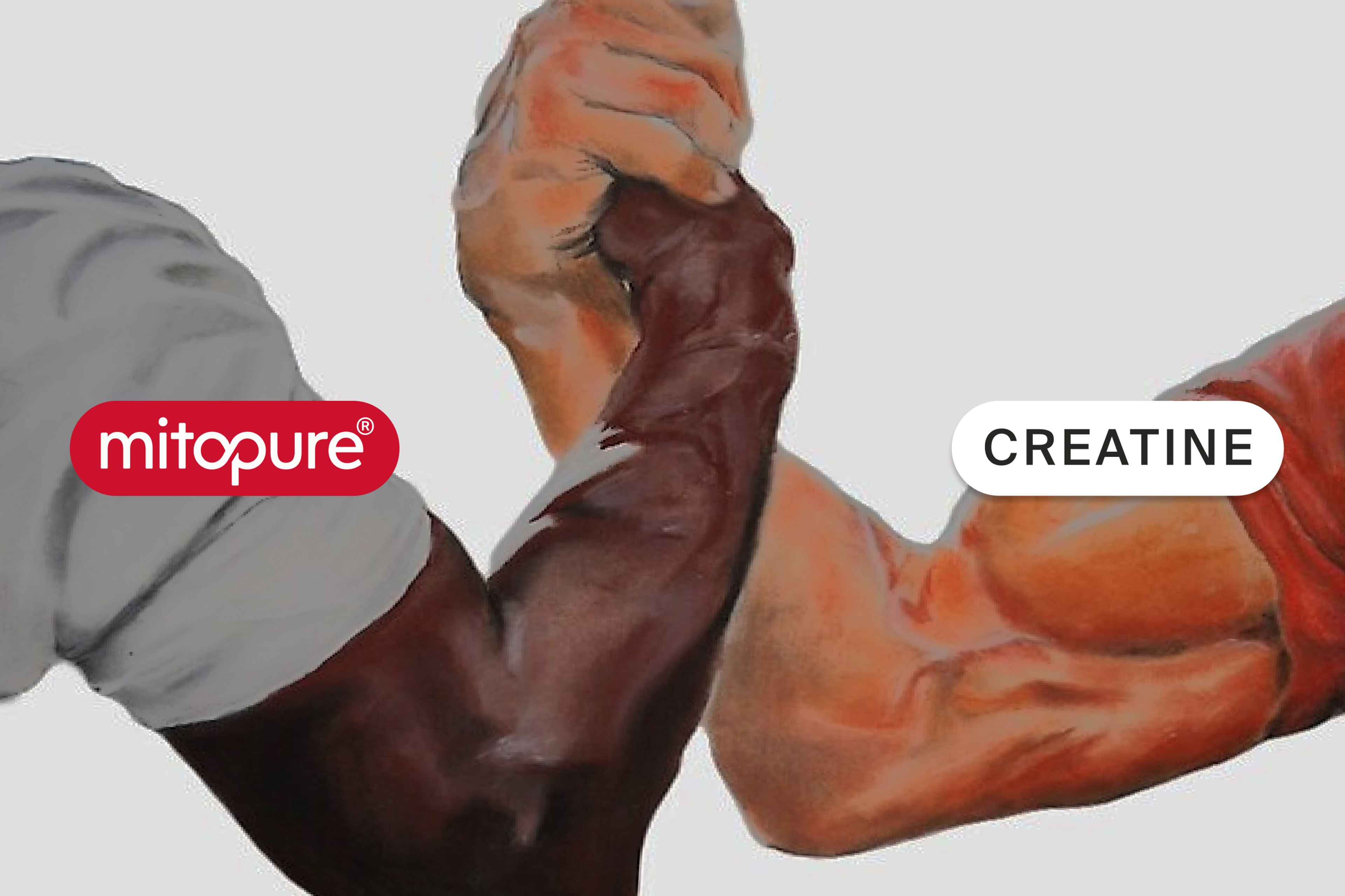 Mitopure vs Creatine
