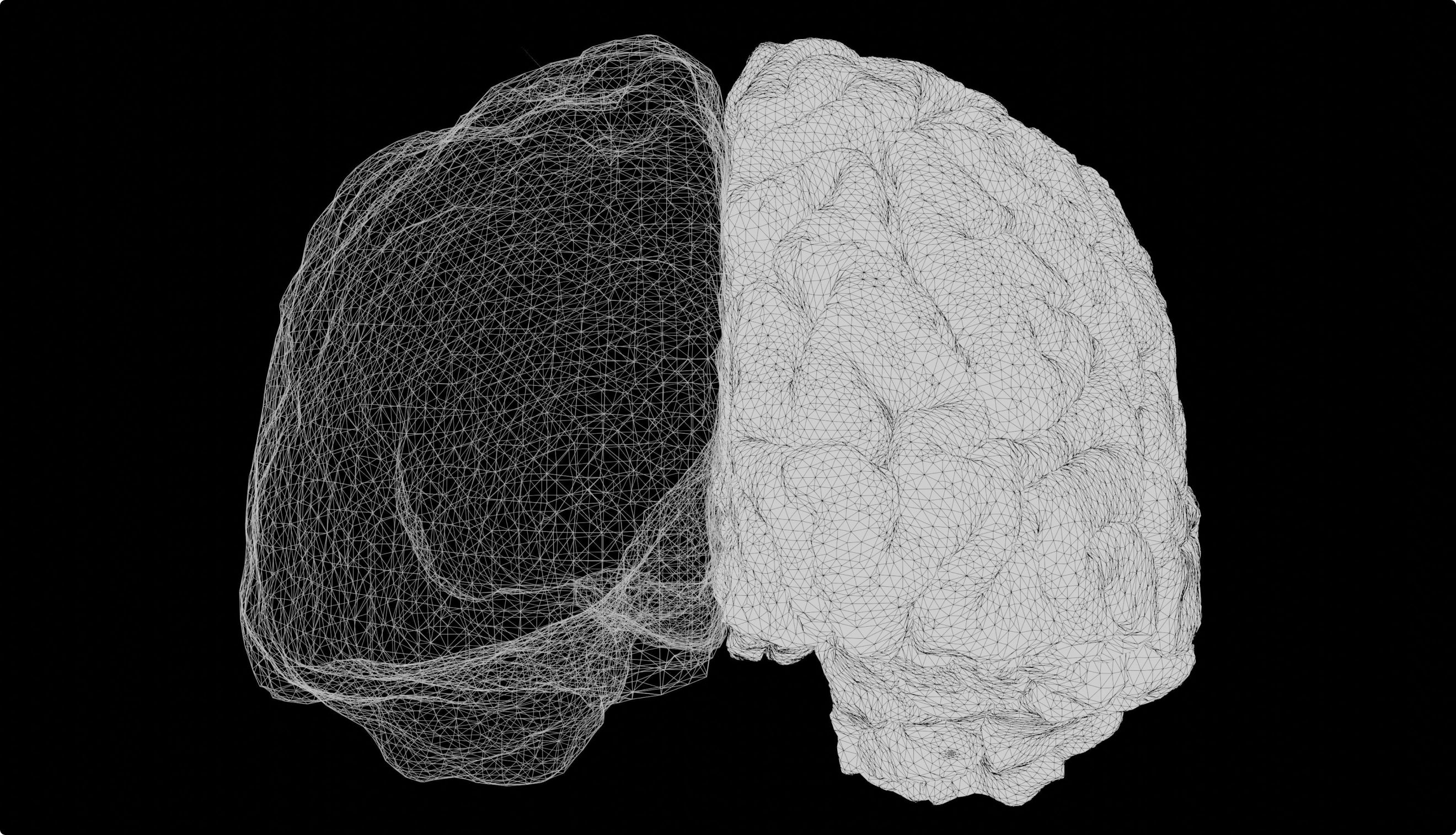 support collagen assembly