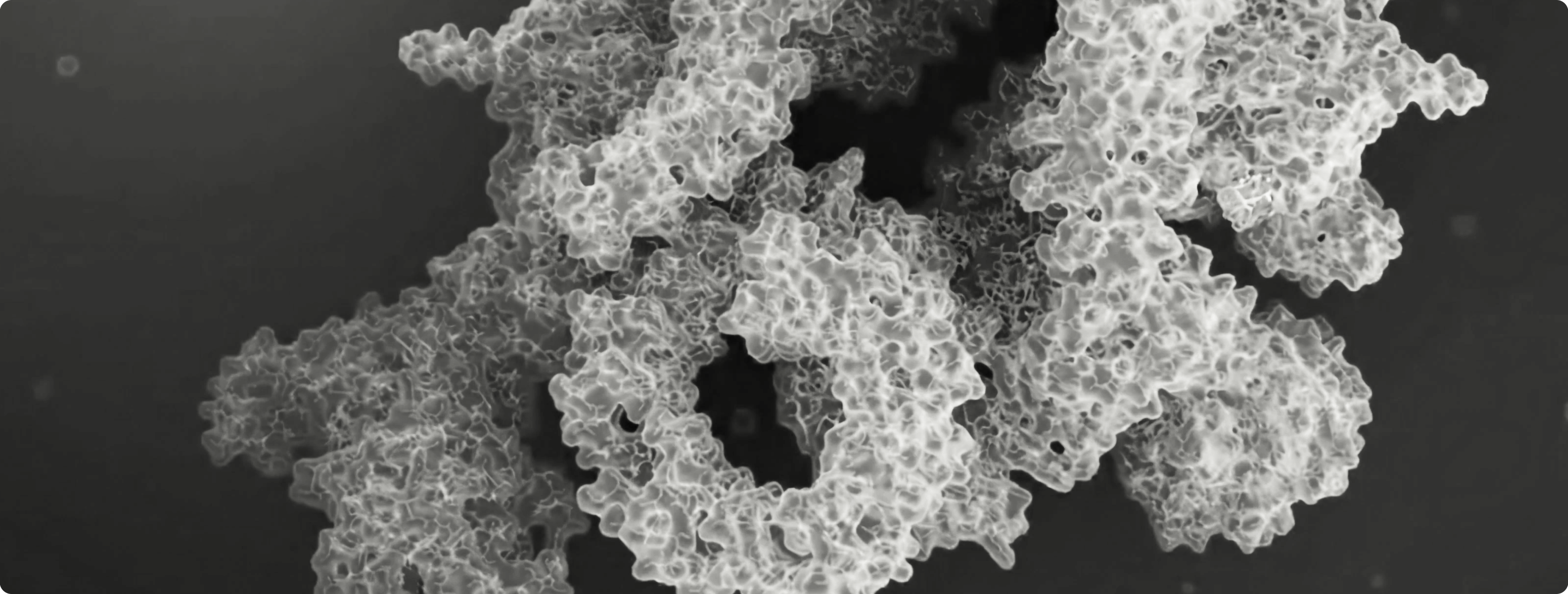 rapamycin scientific image