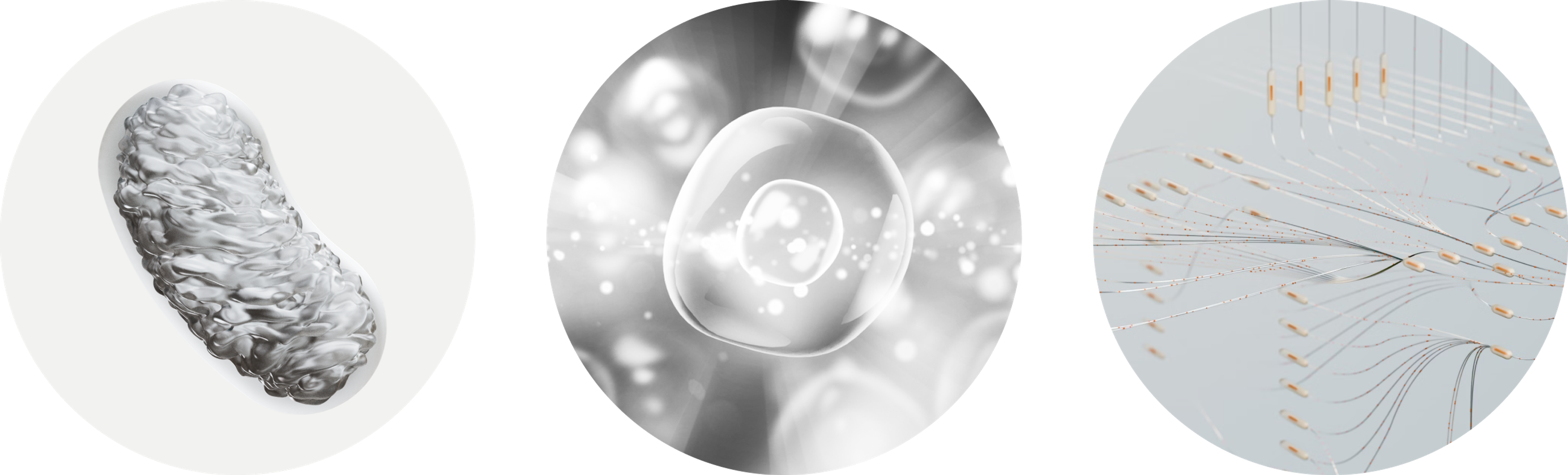 Representations of mitochondrial dysfunction, cellular senescence, and altered intercellular communication