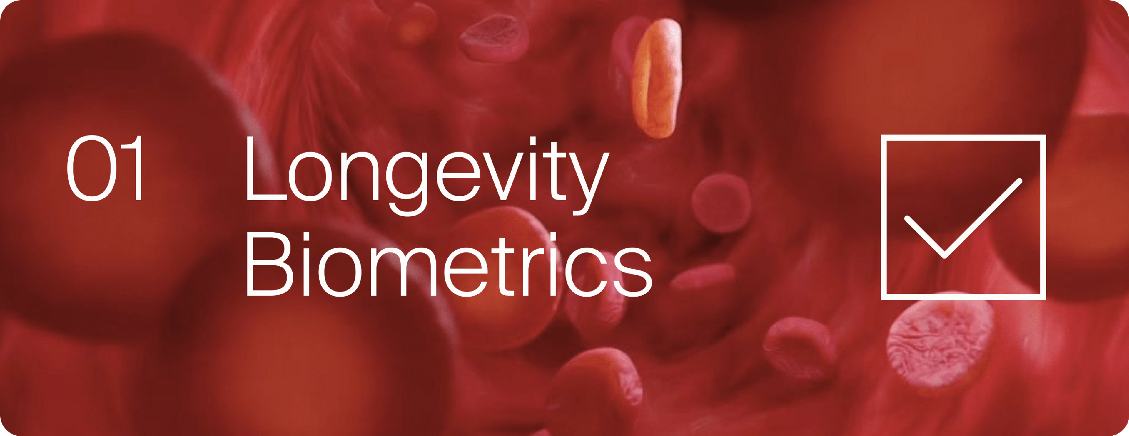 Blood Flow. Longevity Biometrics.