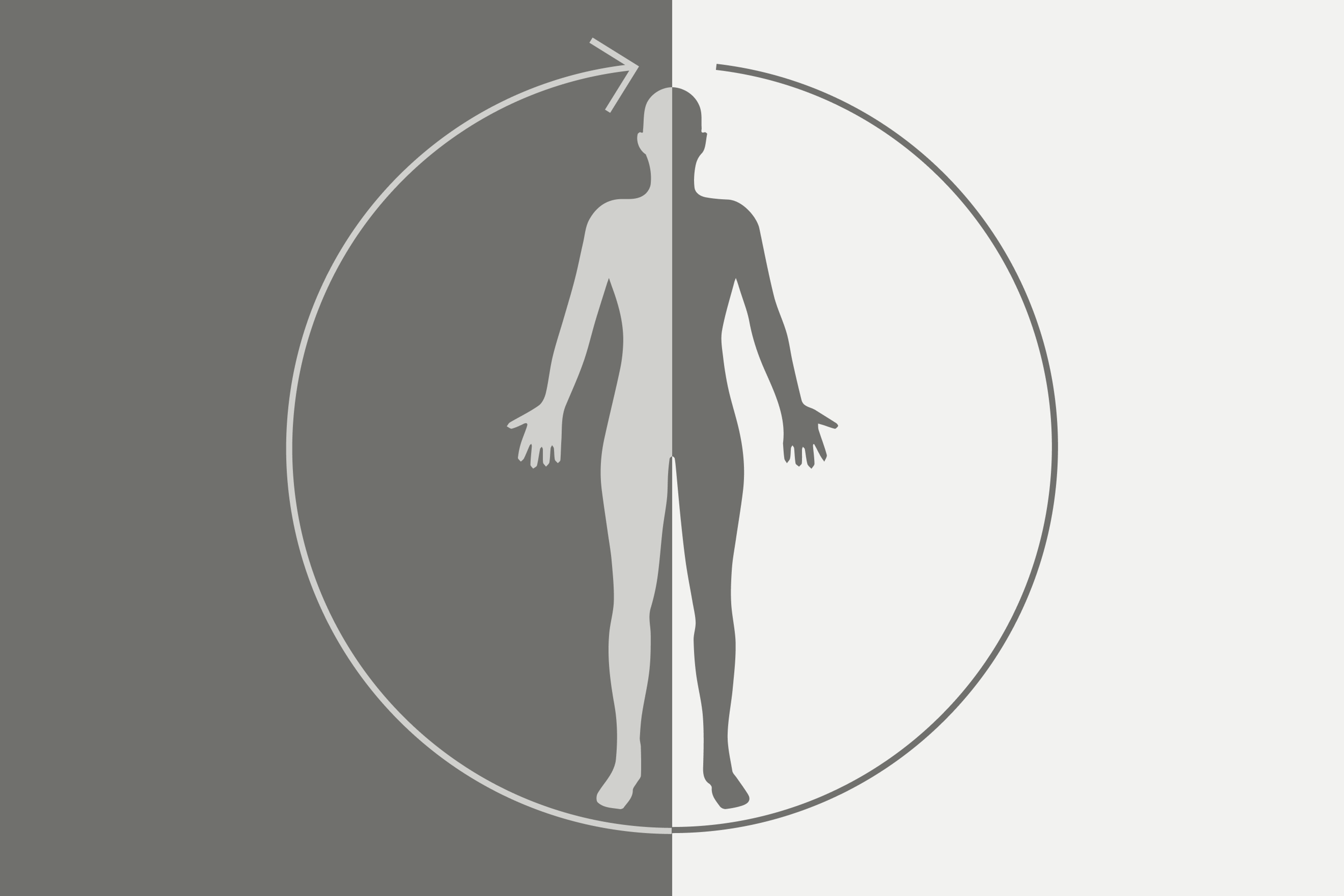Illustration of the circadian rhythm