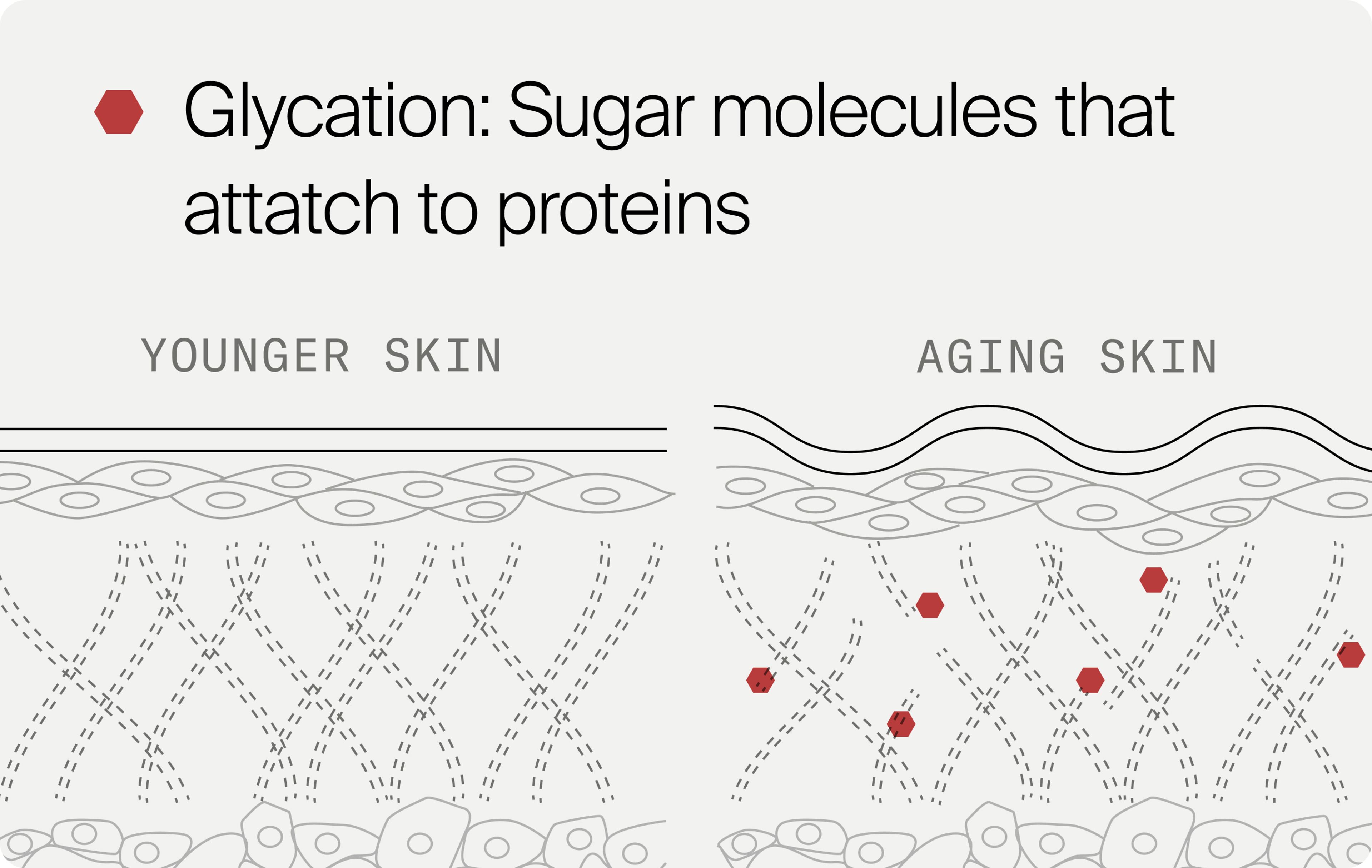 Advance Glycation Products