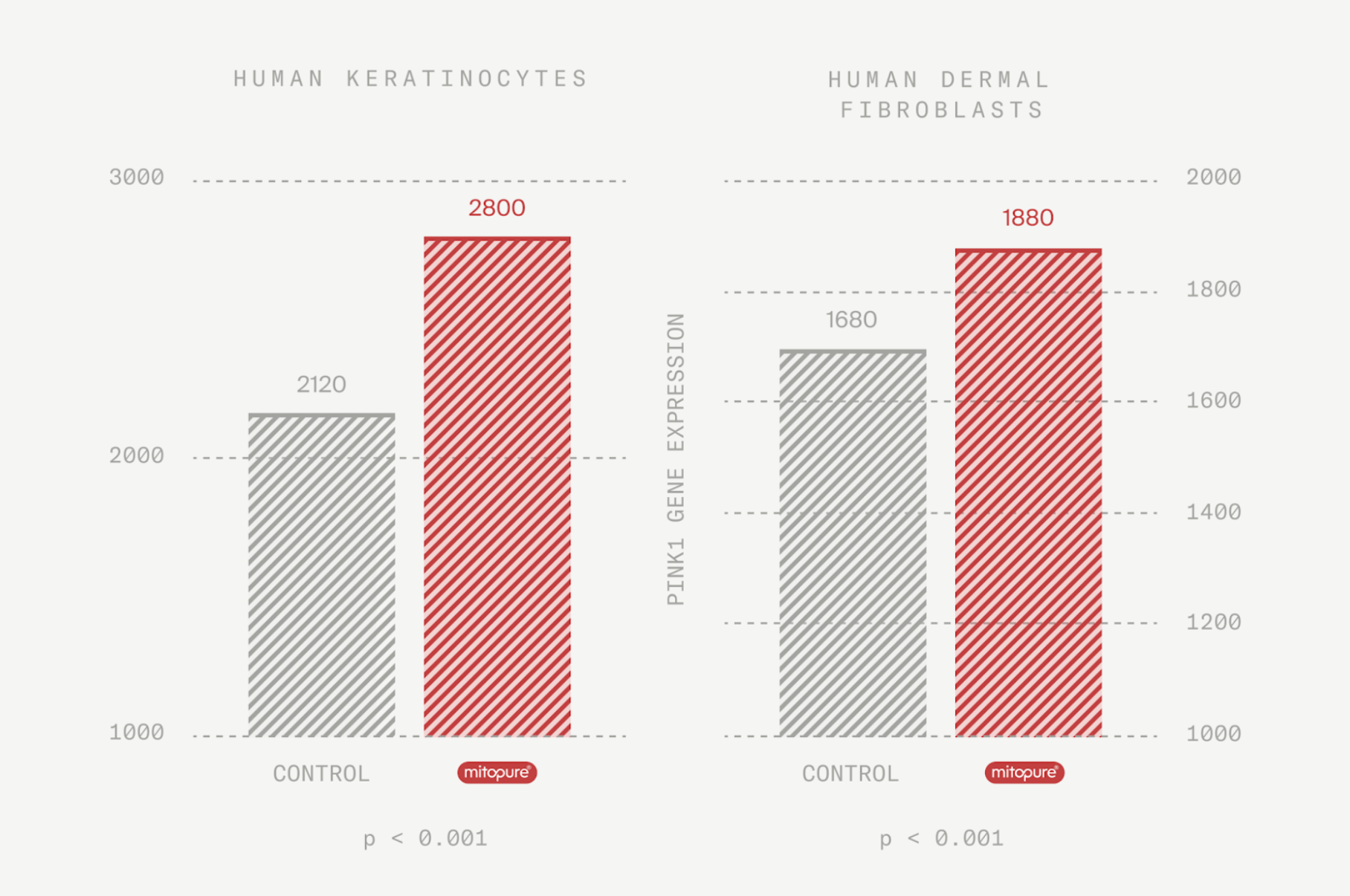 human dermal fibroblasts