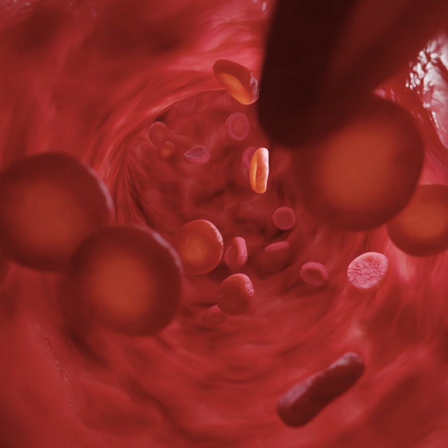 Cells