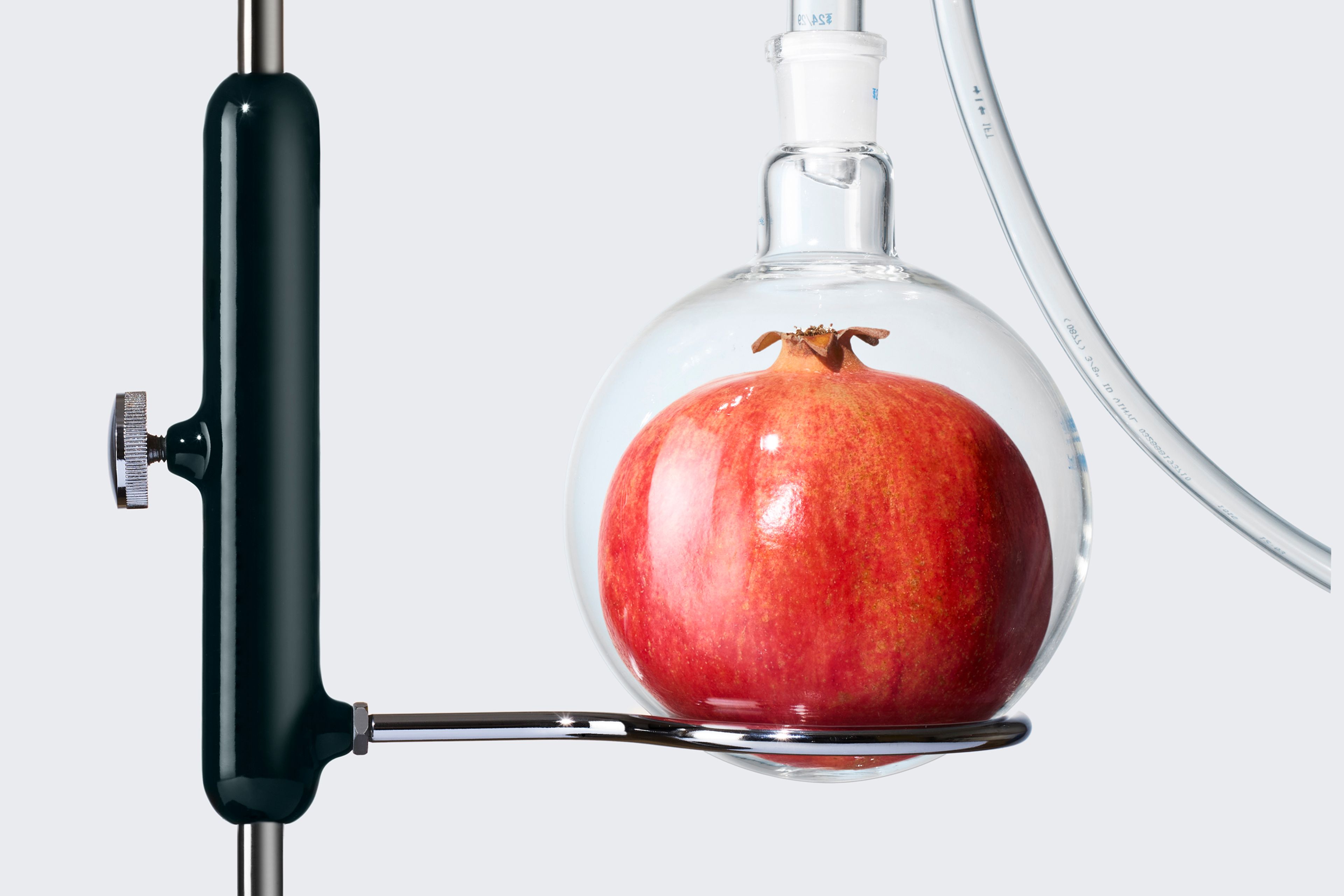 Pomegranate inside a lab flask