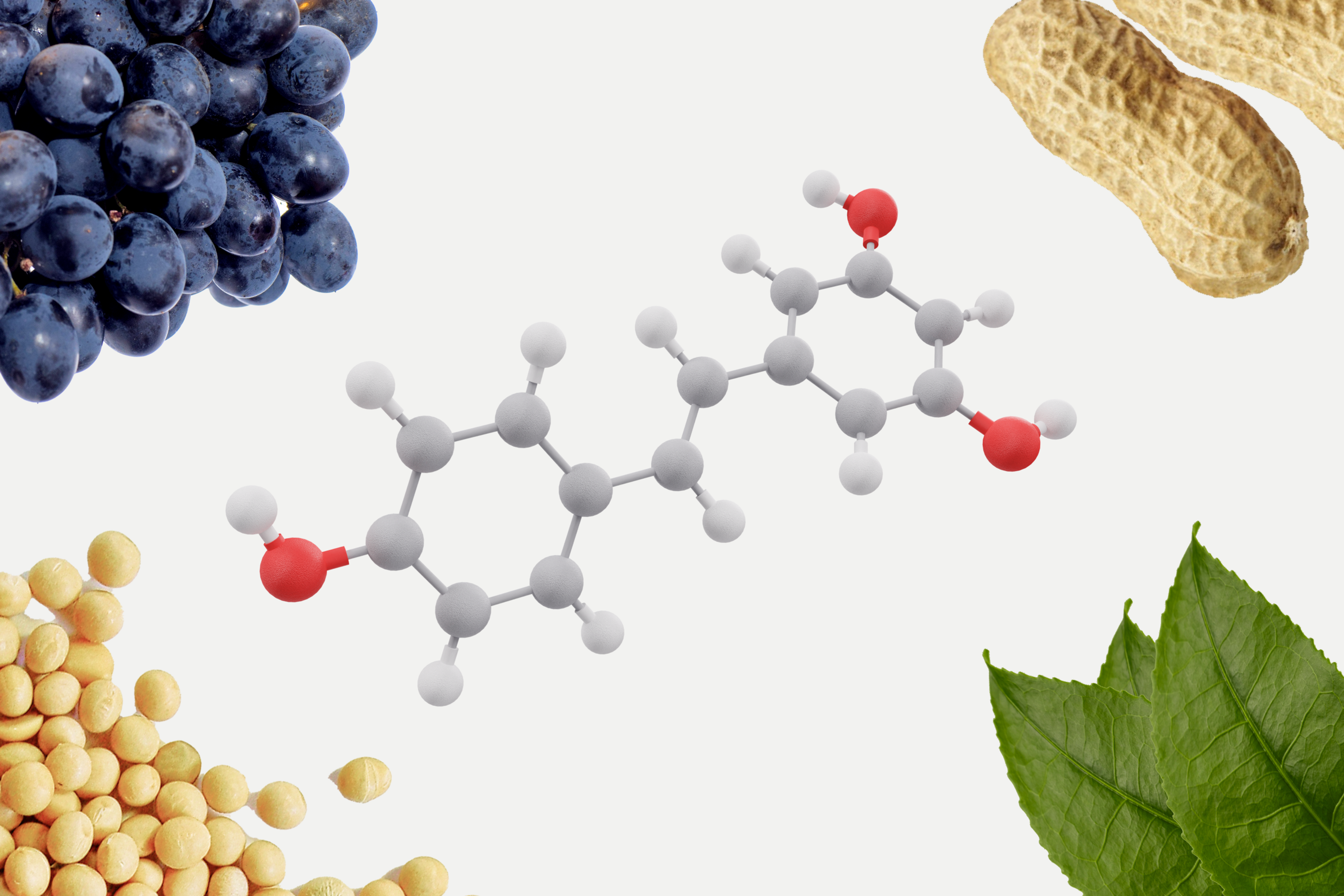 Resveratrol sources: grapes, peanuts, soy, tea