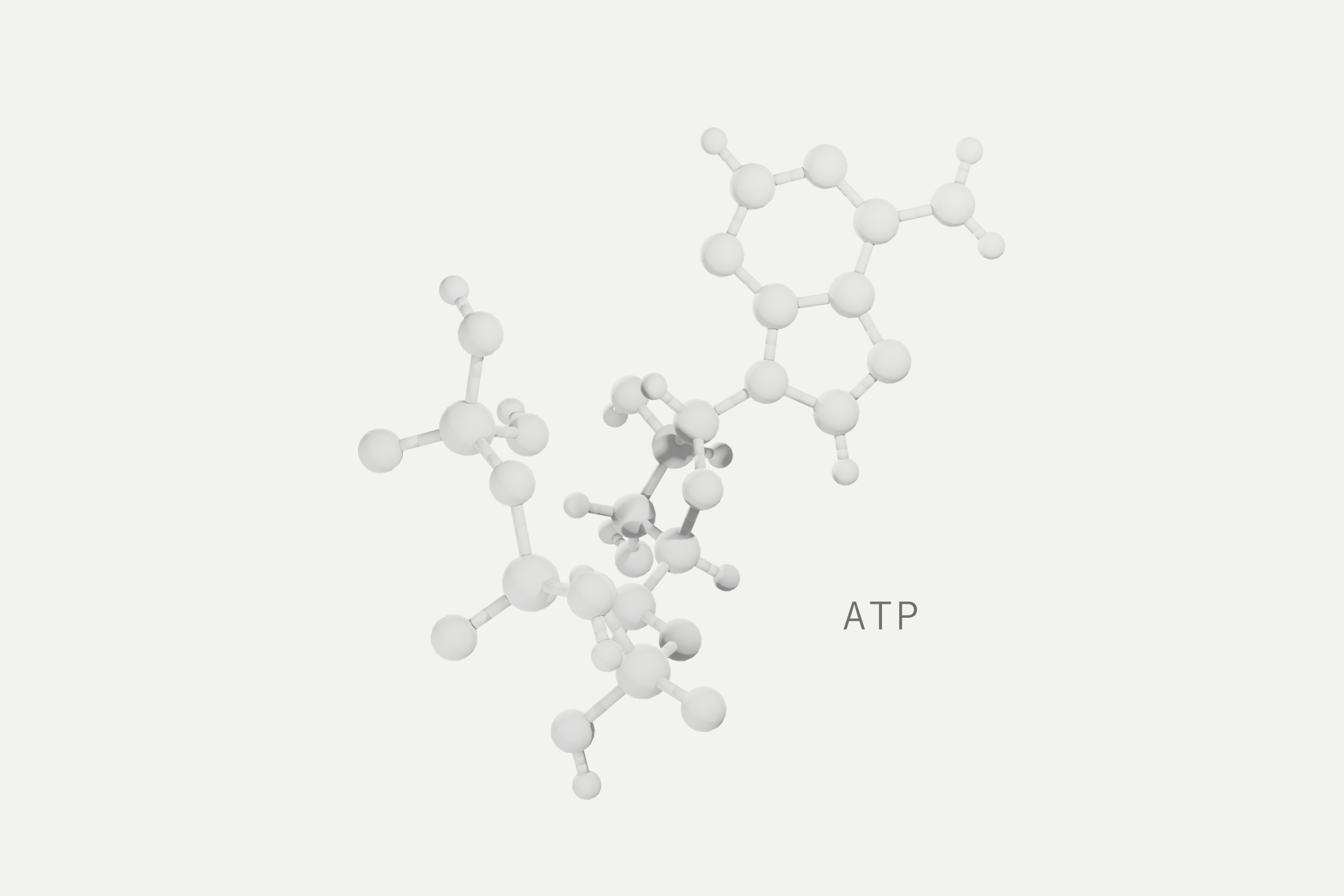 atp molecule