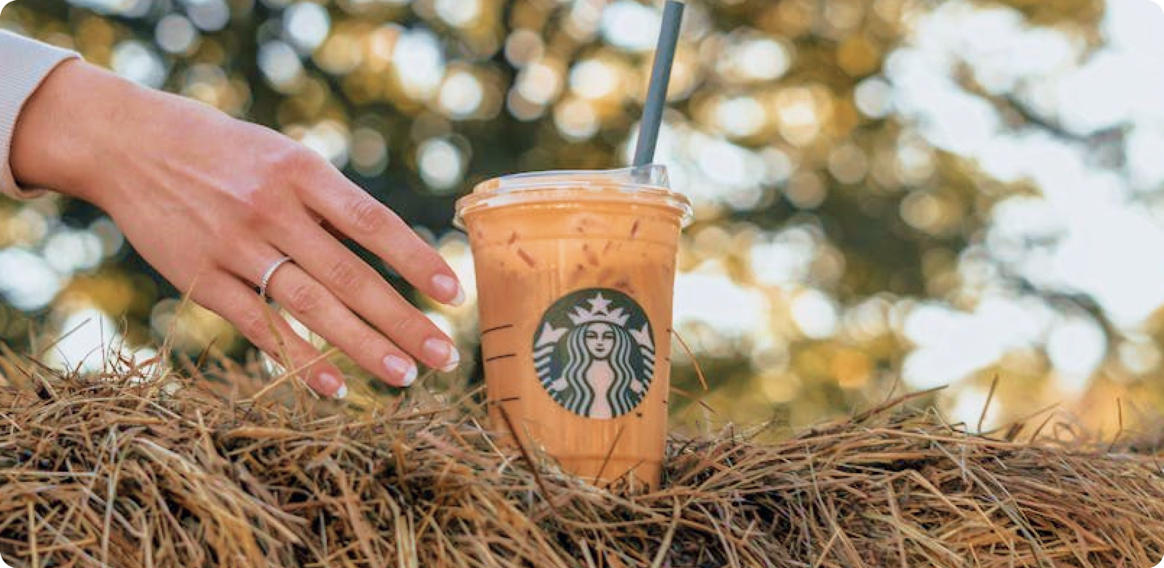 Starbucks PSL