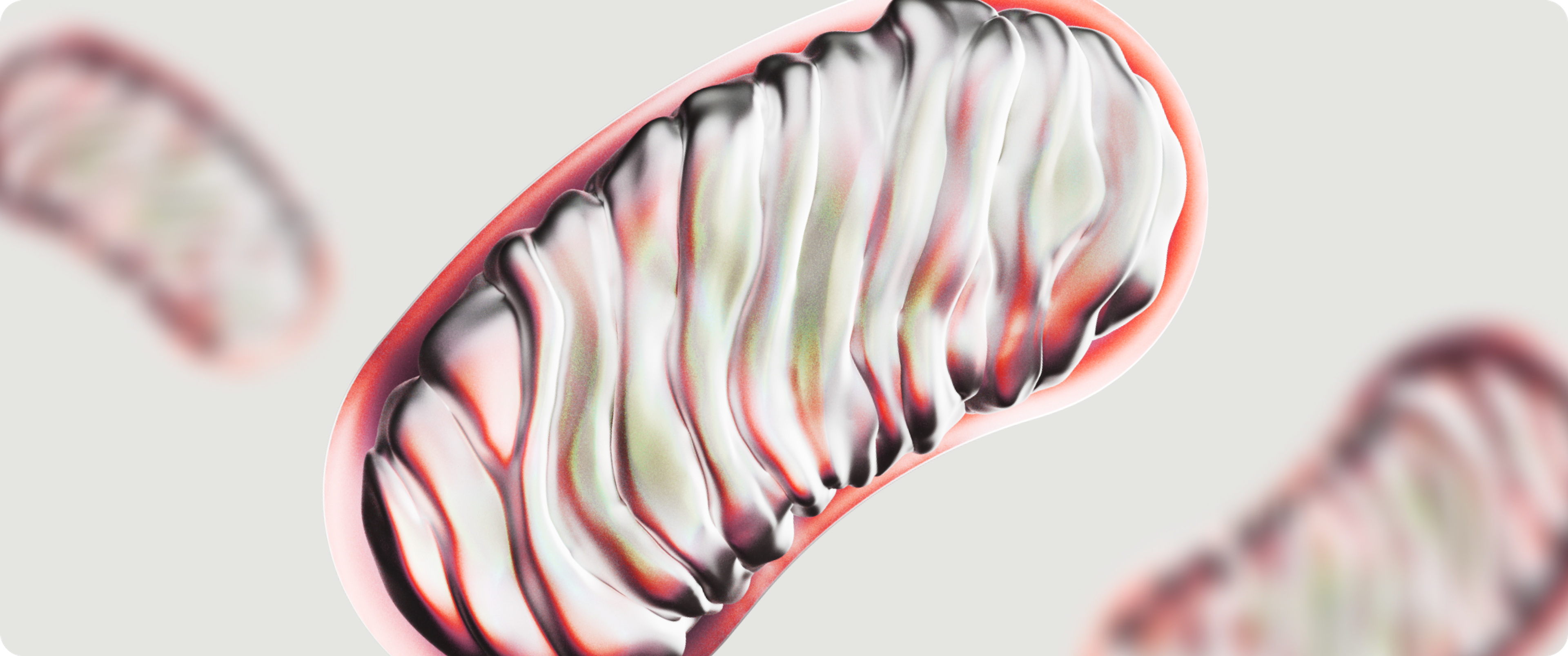 Mitochondria